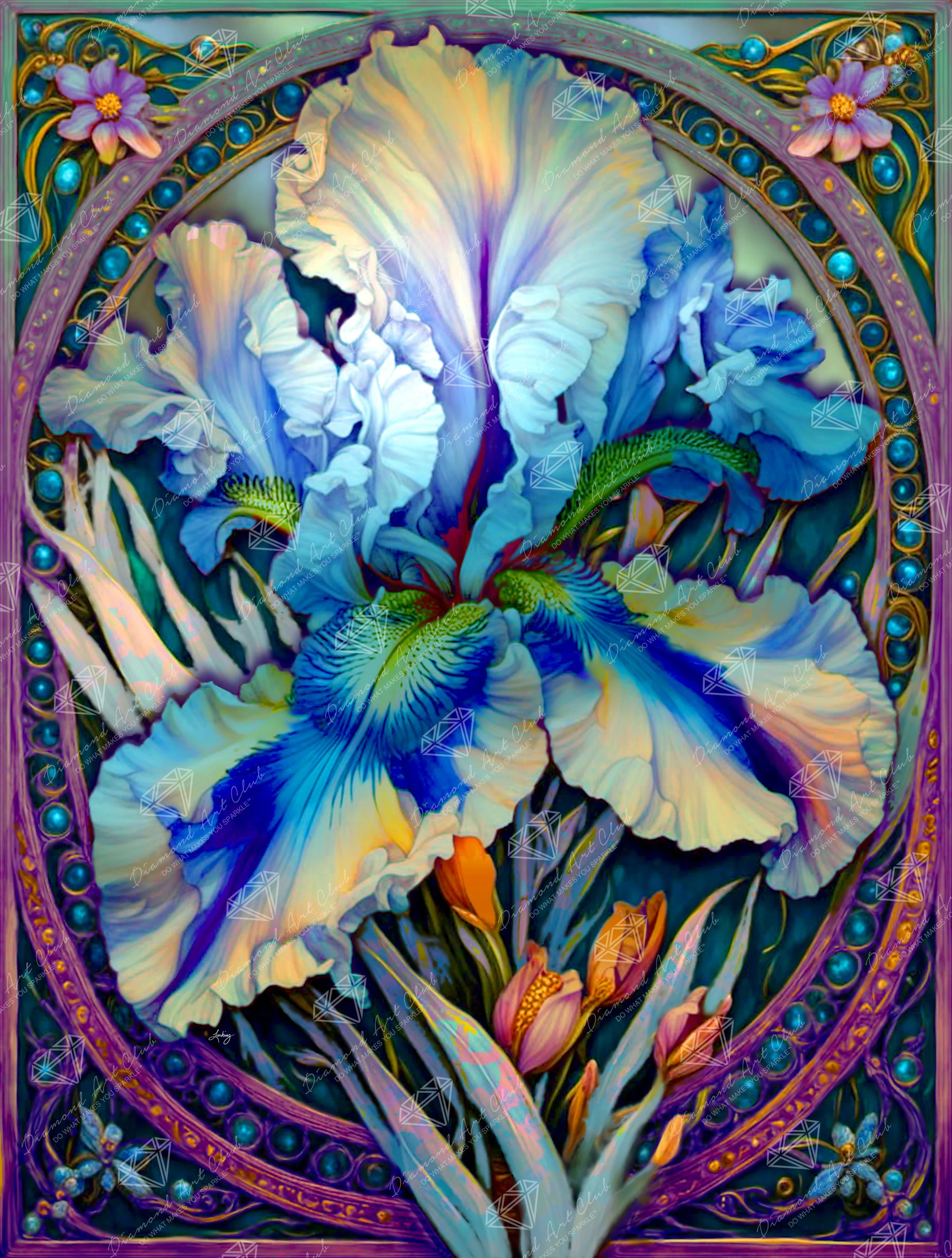 Exotic Iris