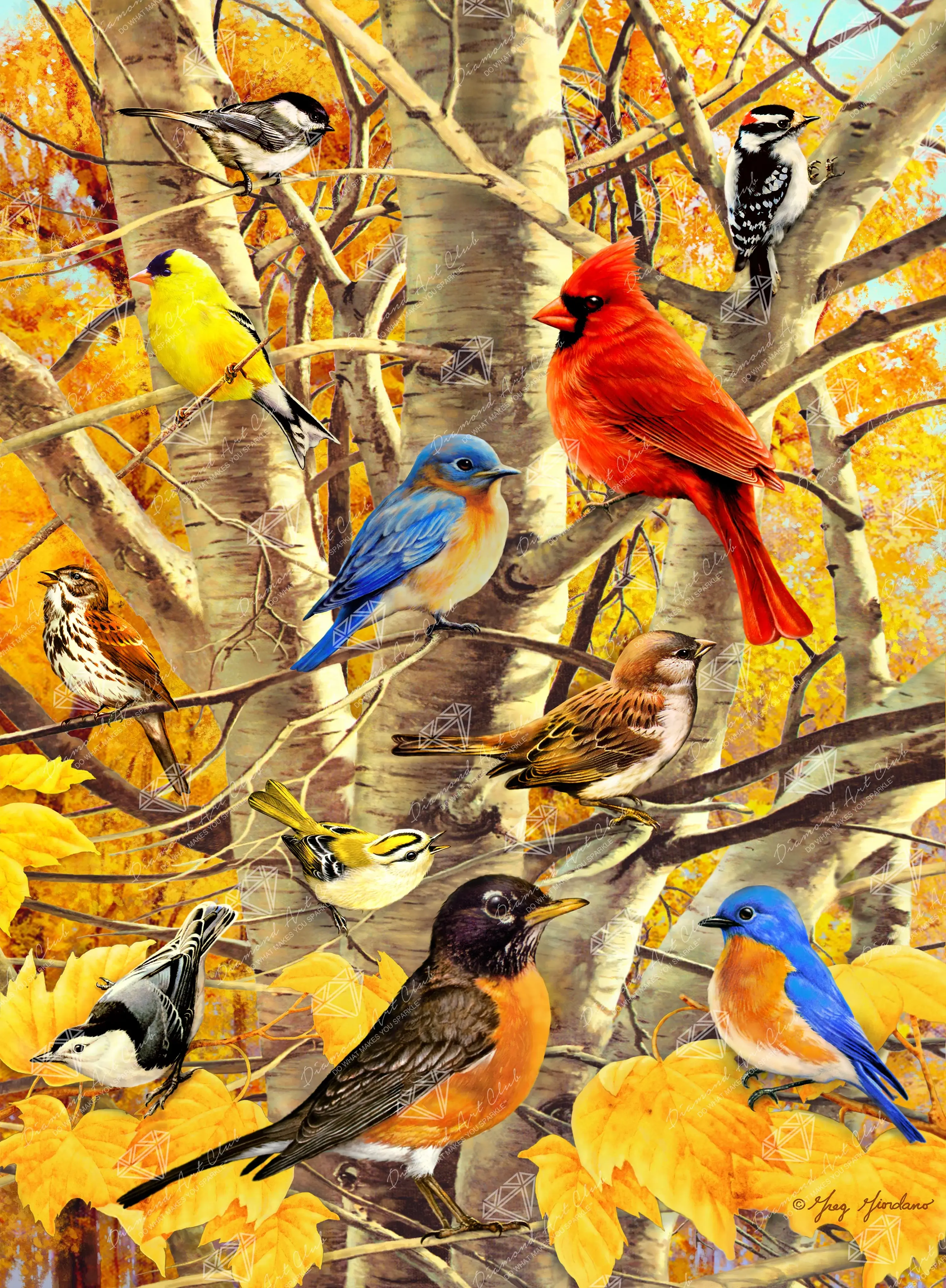 Fall Birds