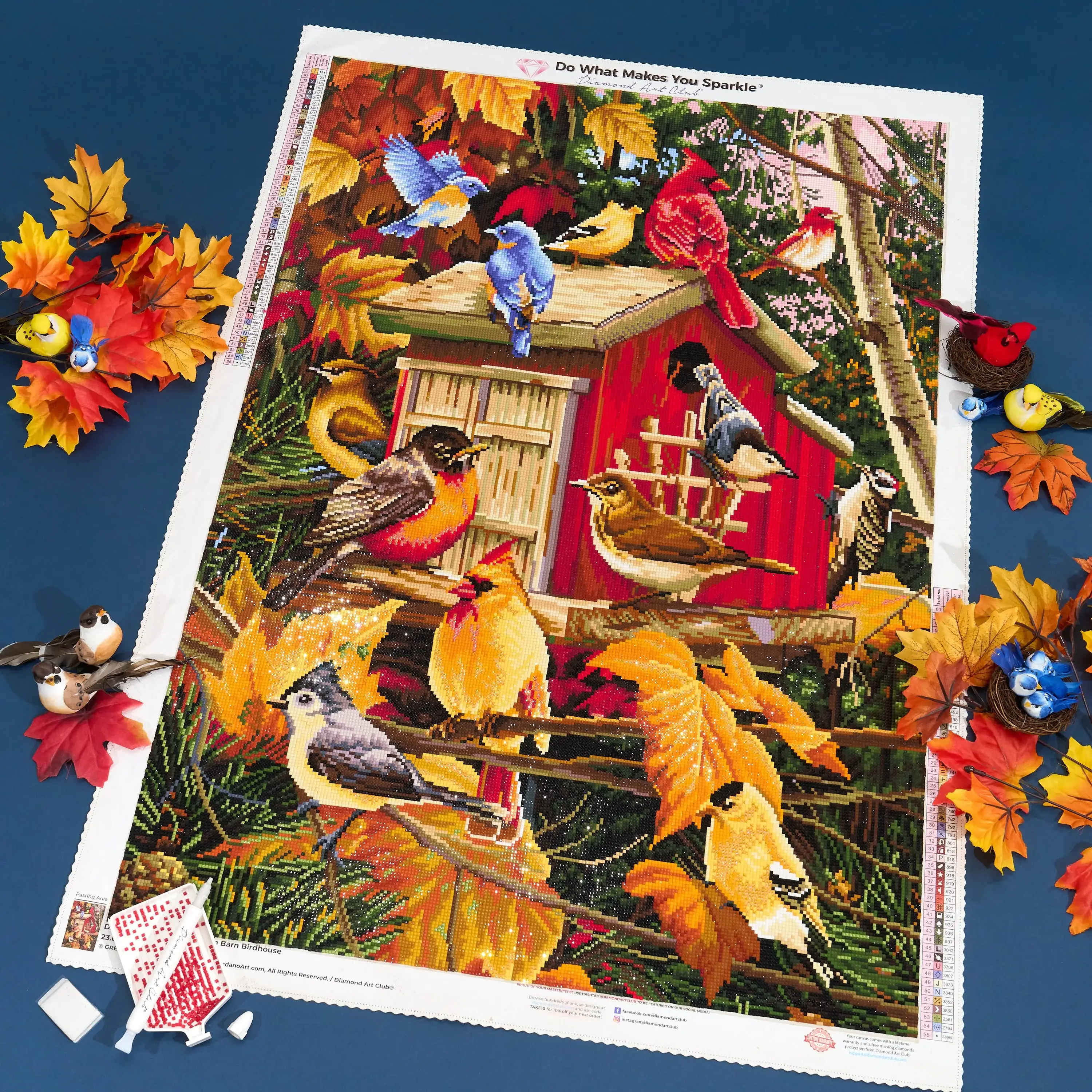 1107-fall-birds-on-barn-birdhouse-1.webp