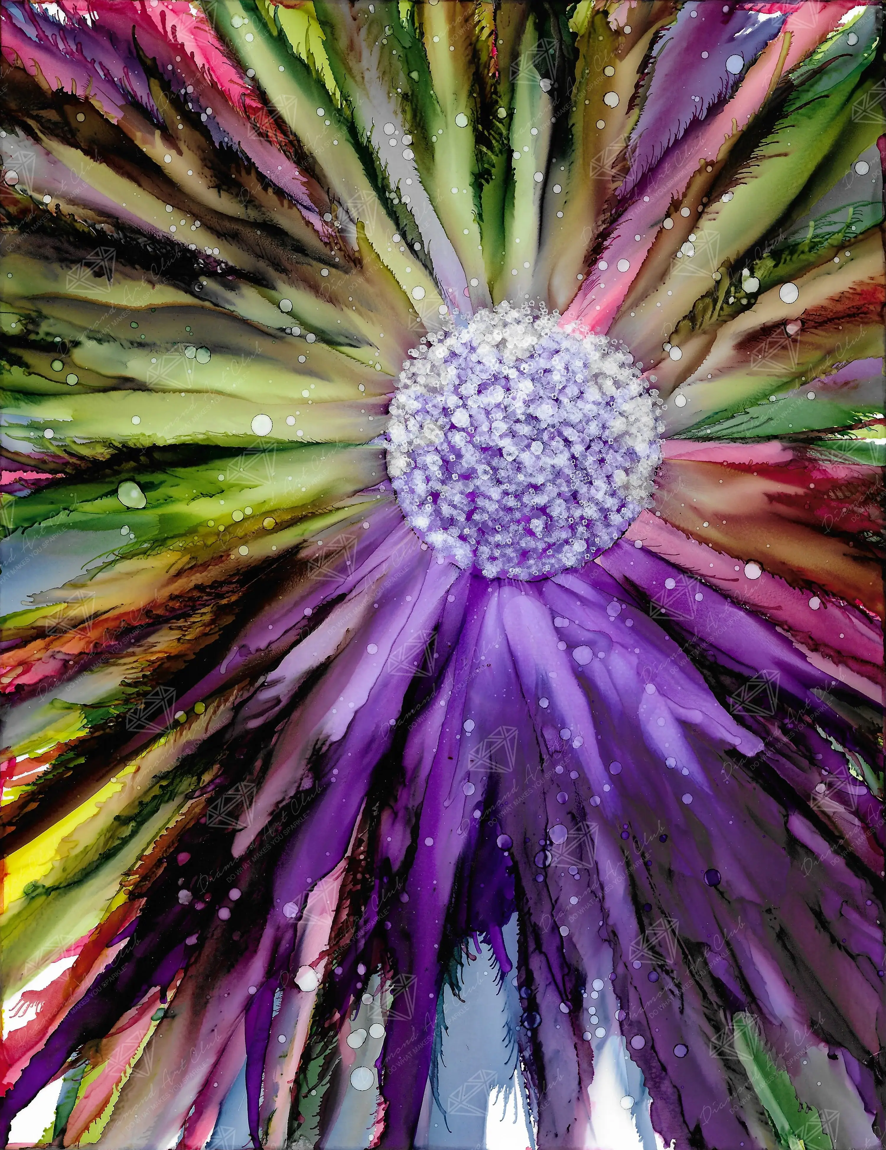 Fireworks Bloom