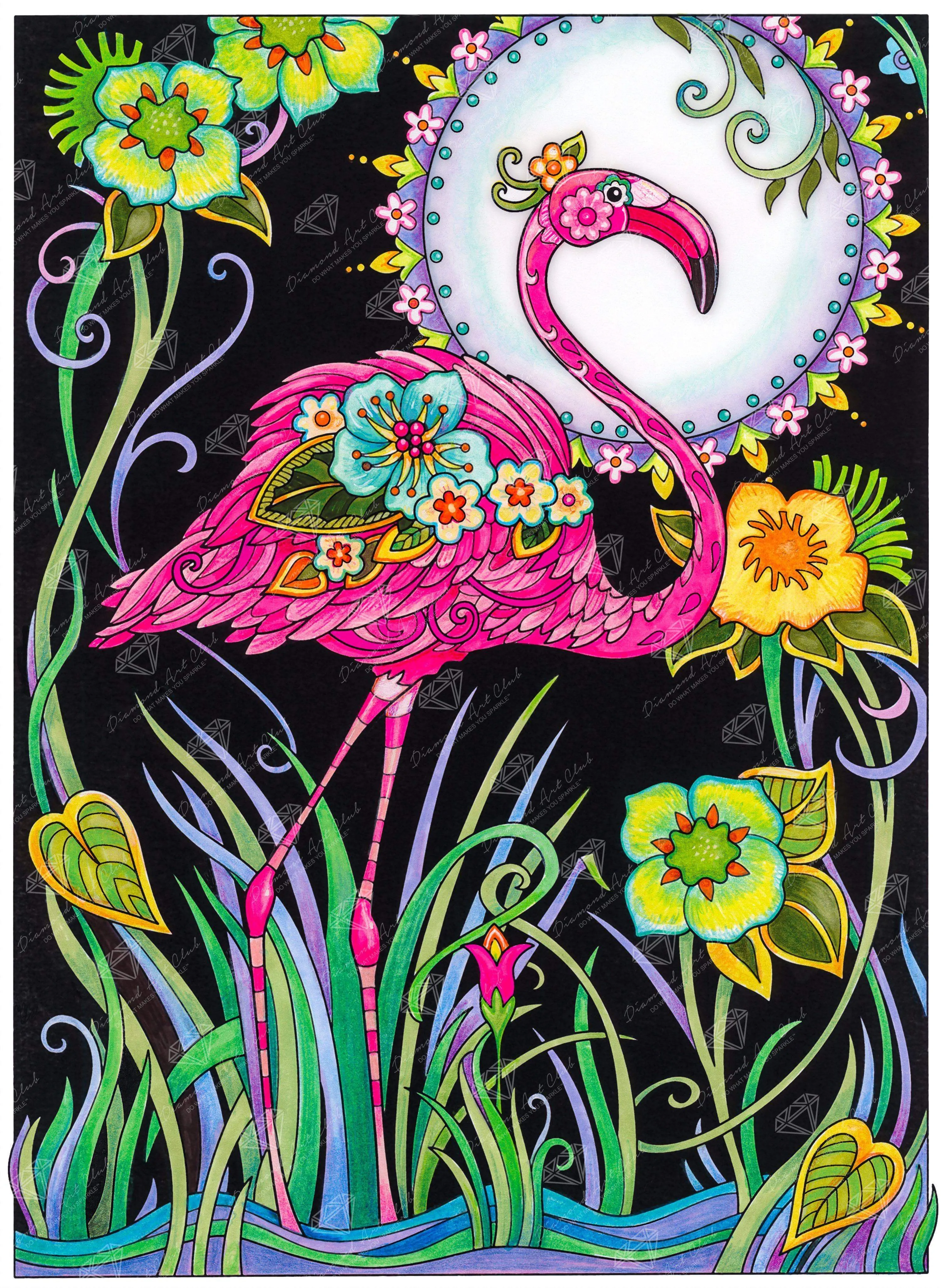 Flamingo