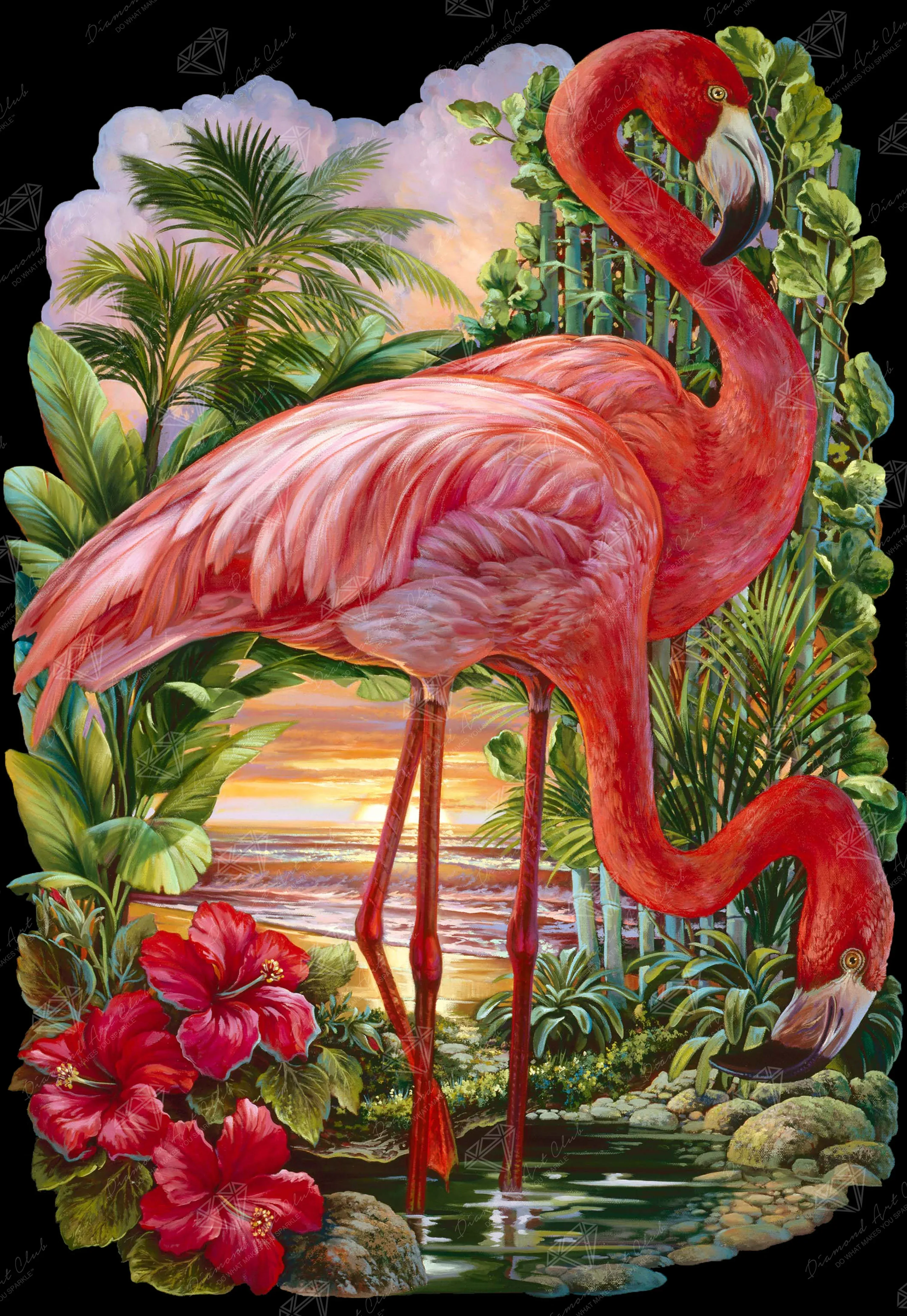 Flamingo Paradise