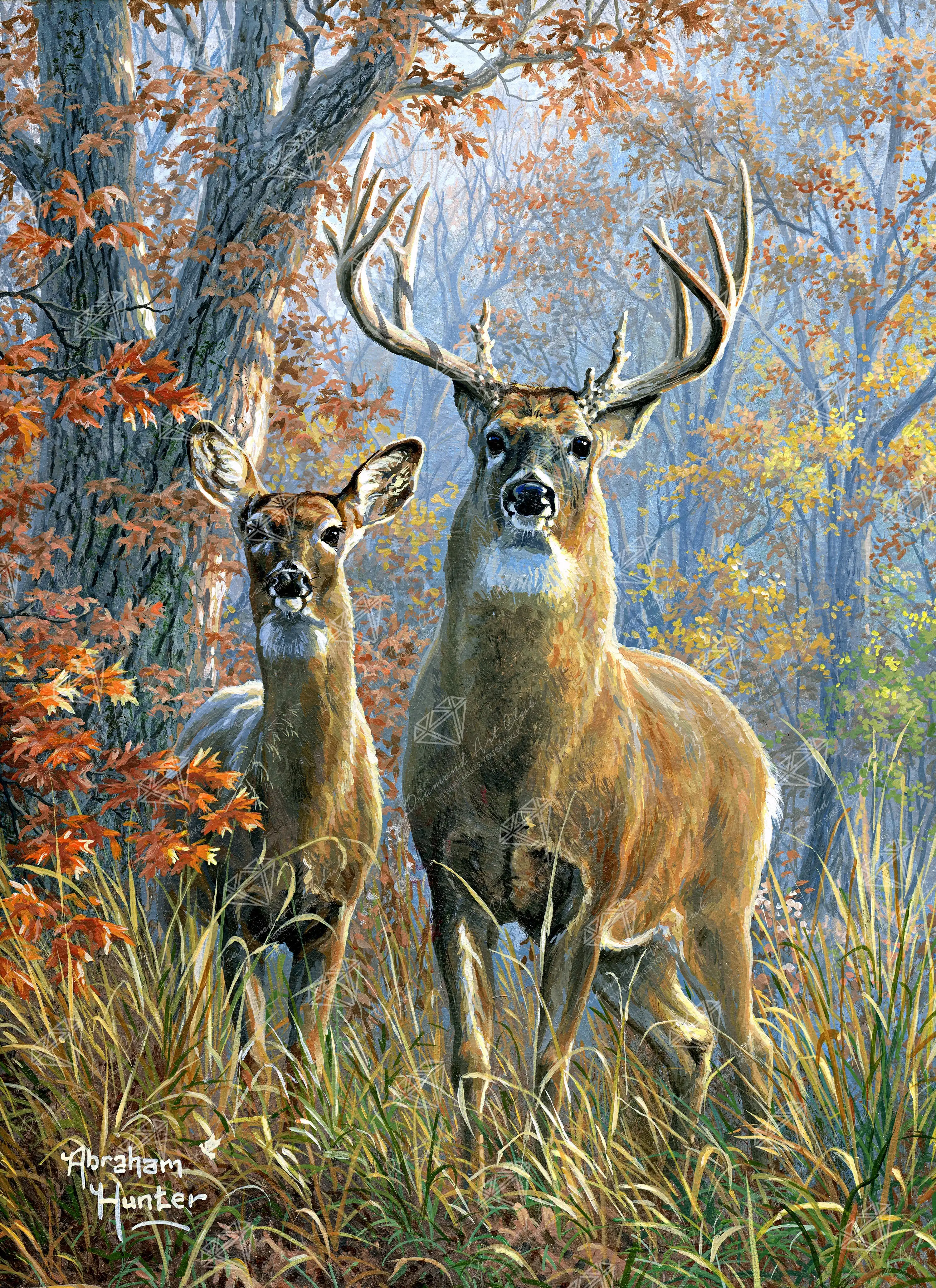 Forest Monarch