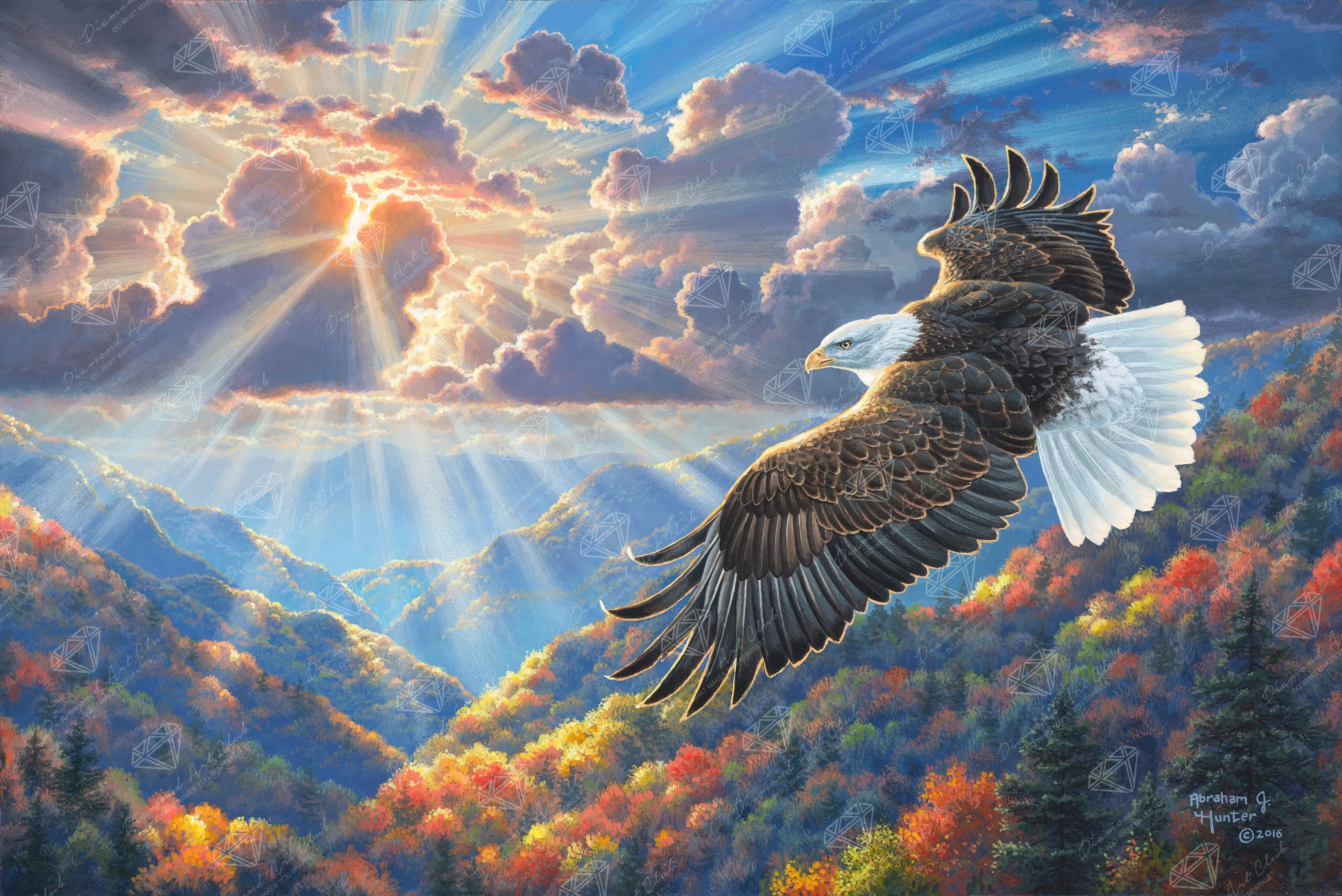 Freedom