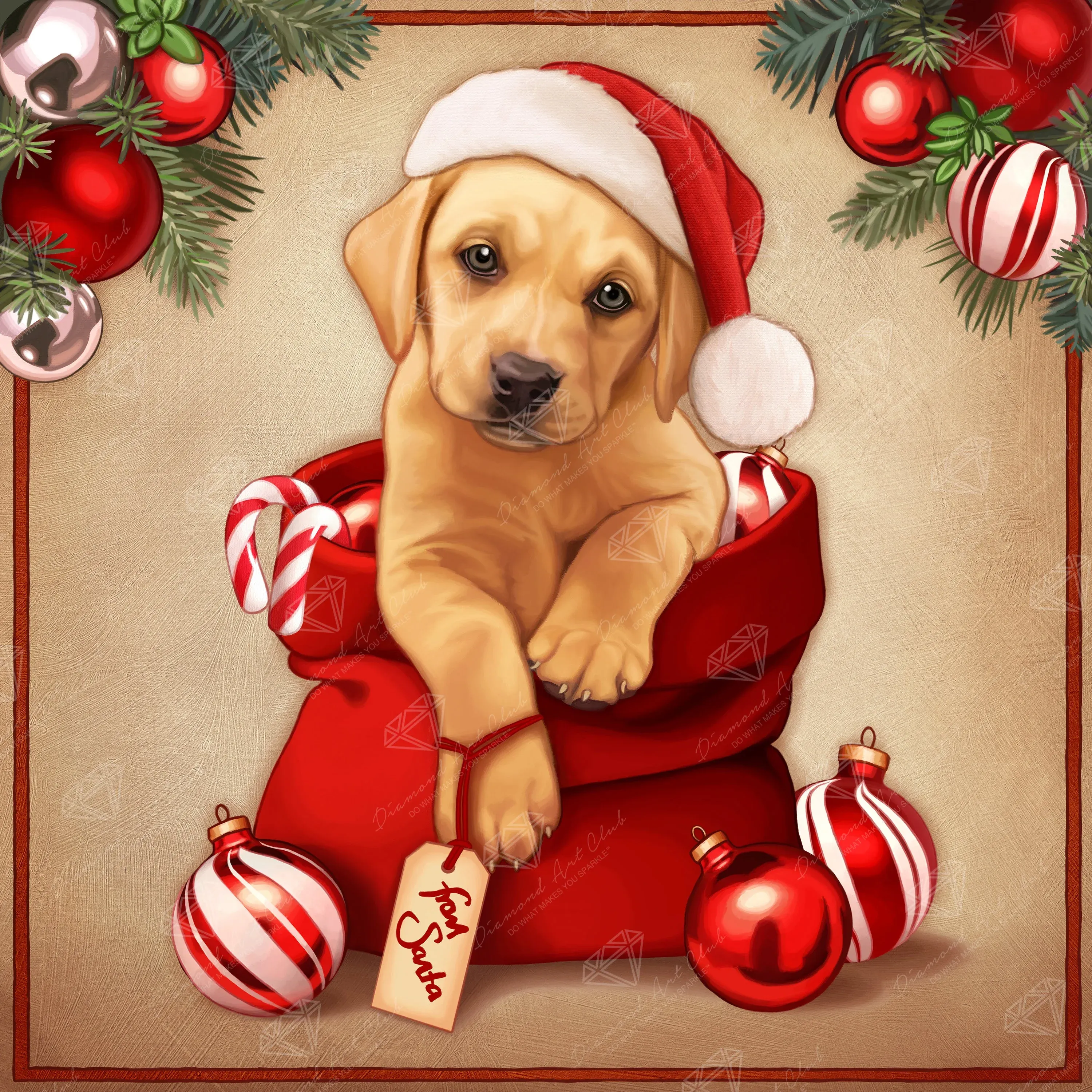 From Santa