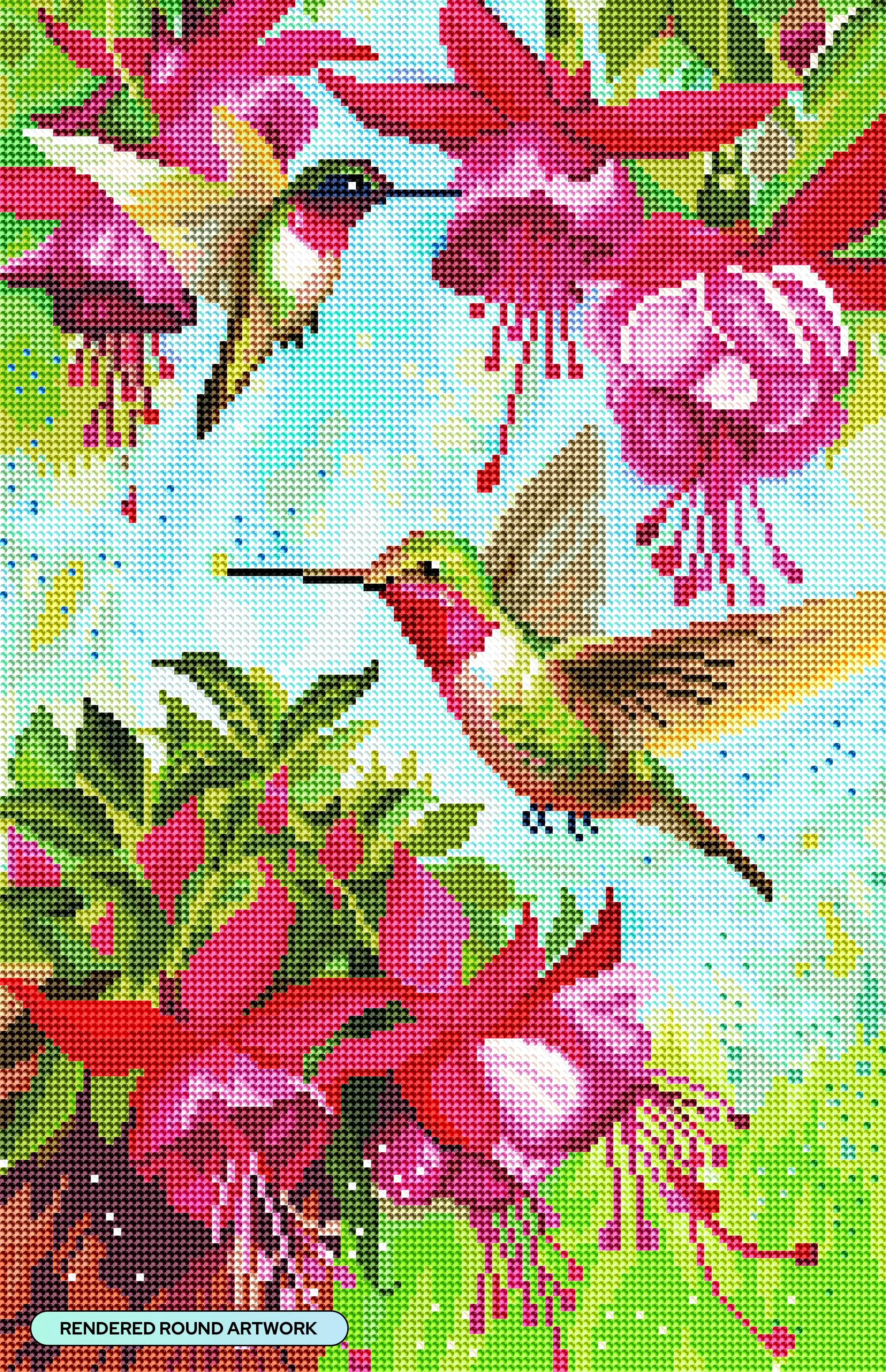 Fuschia Hummingbird