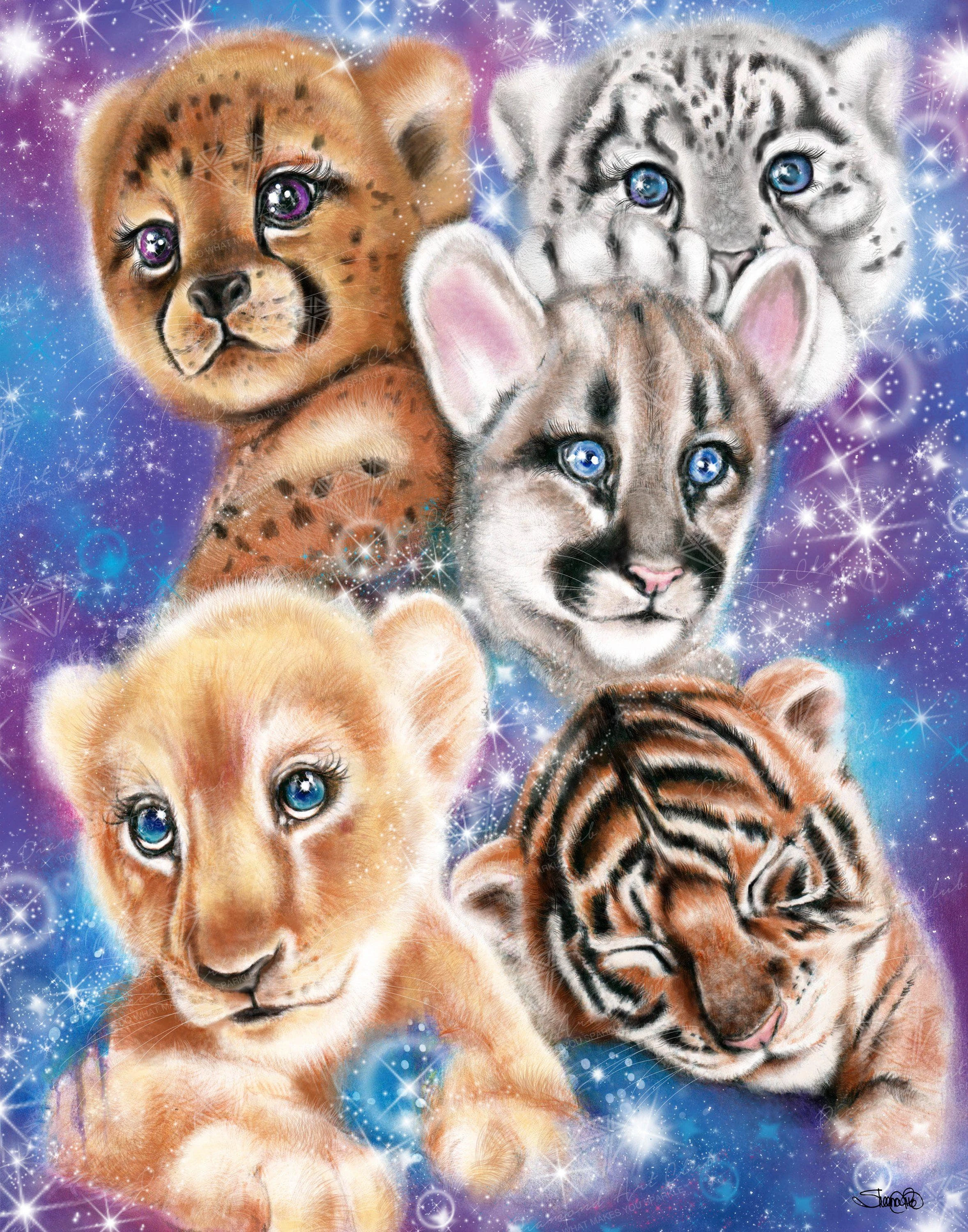 Galaxy Wild Kitten Cubs