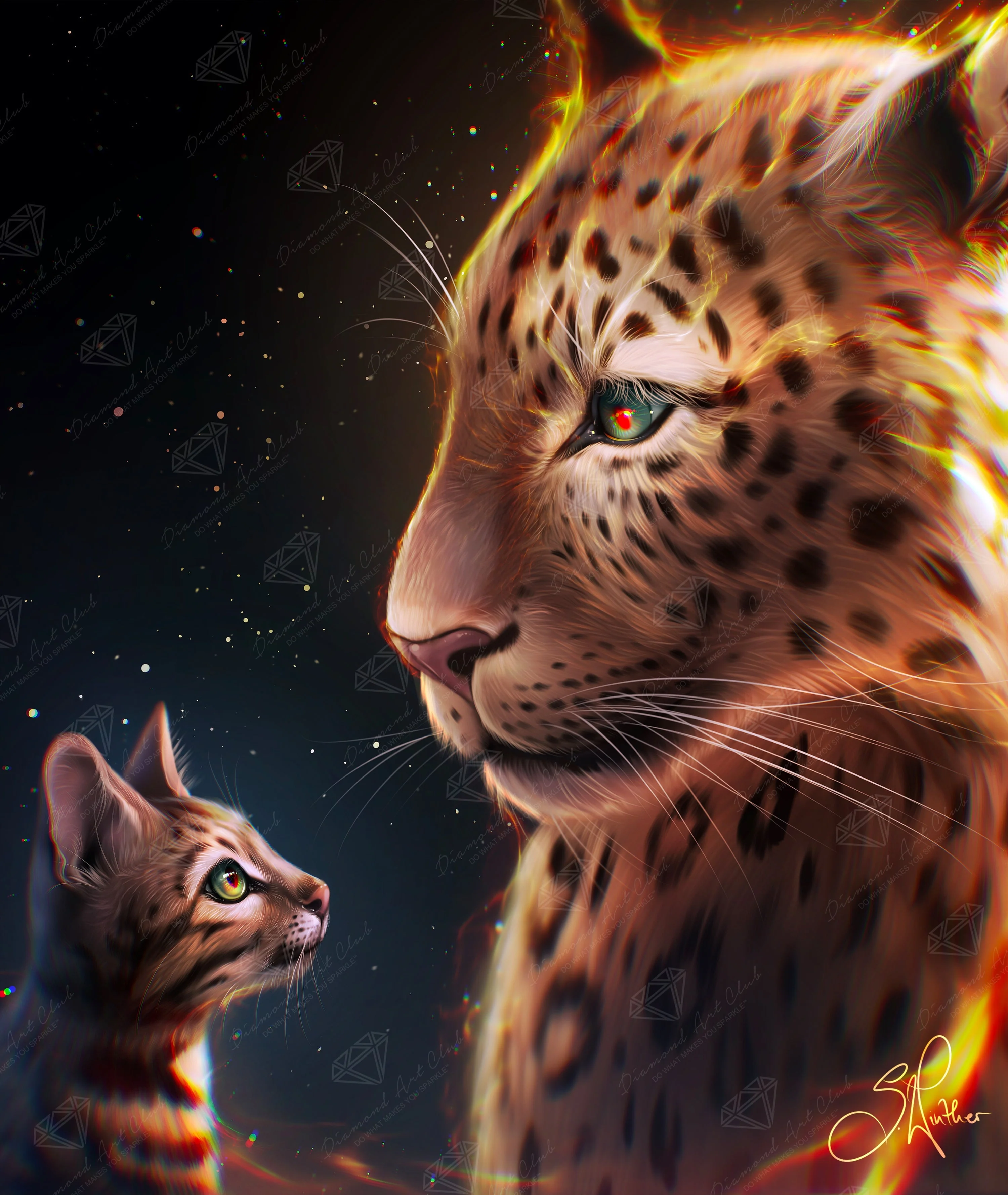 132-admiration-1.webp
