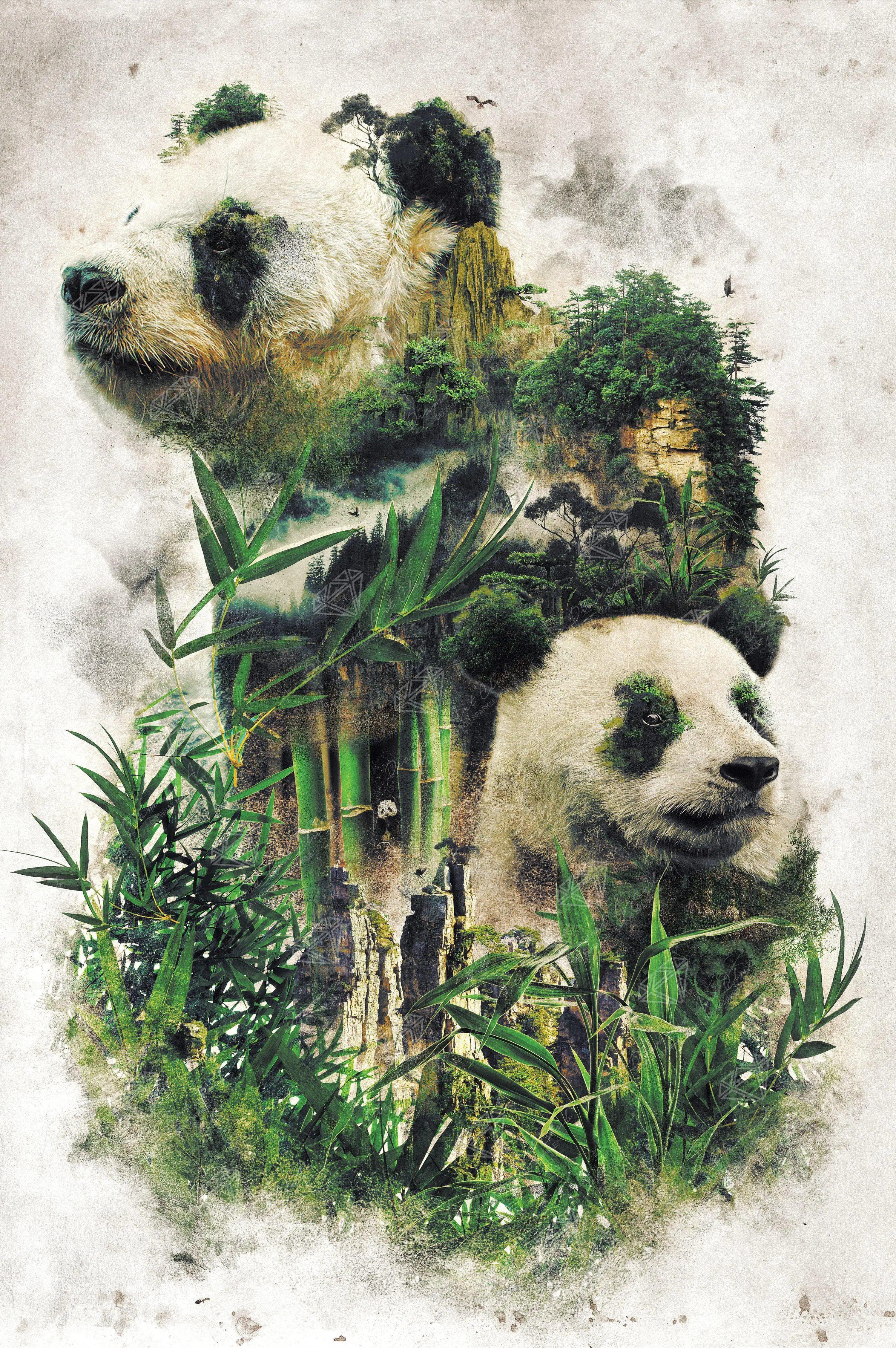 Giant Panda