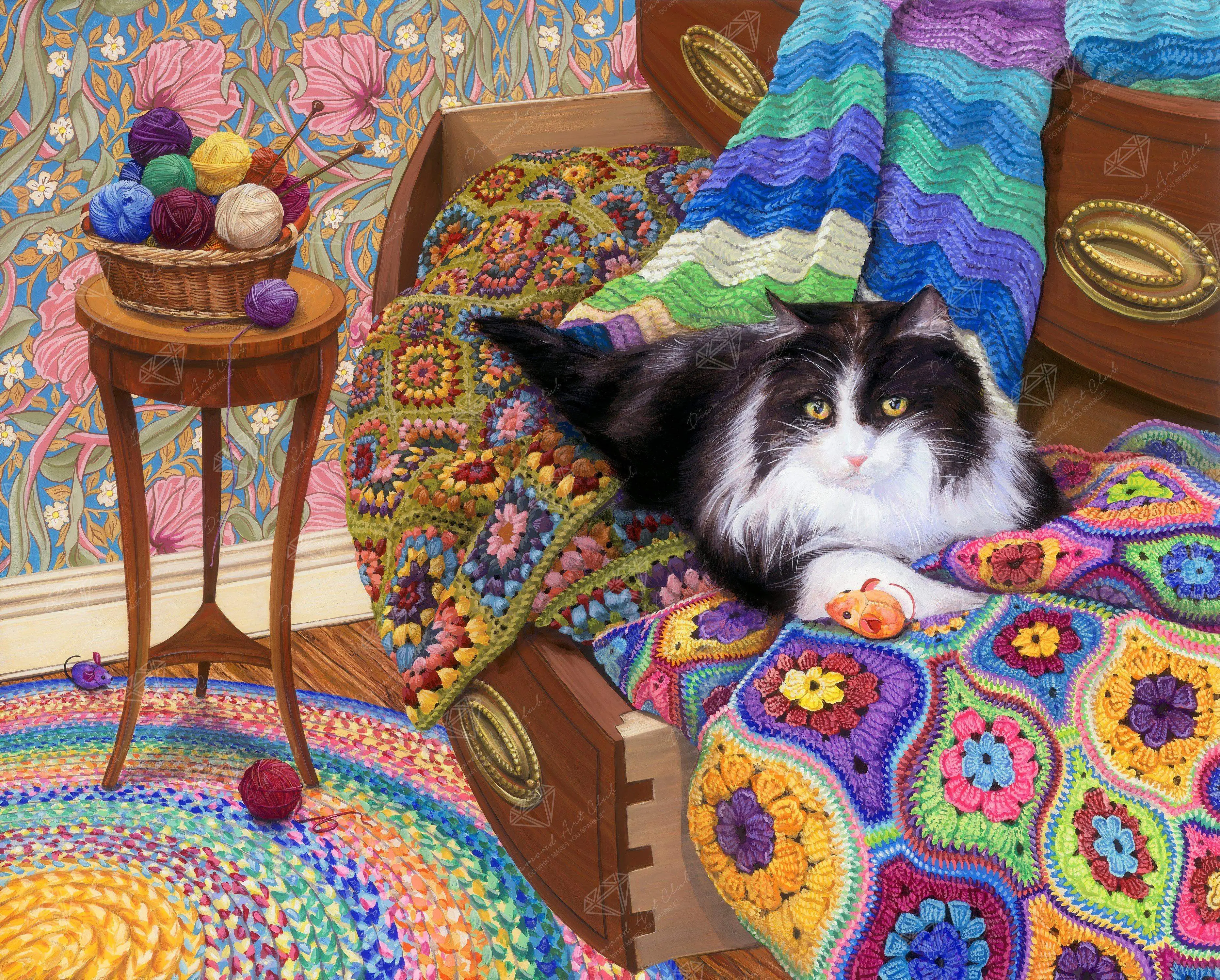 Afghan Cat