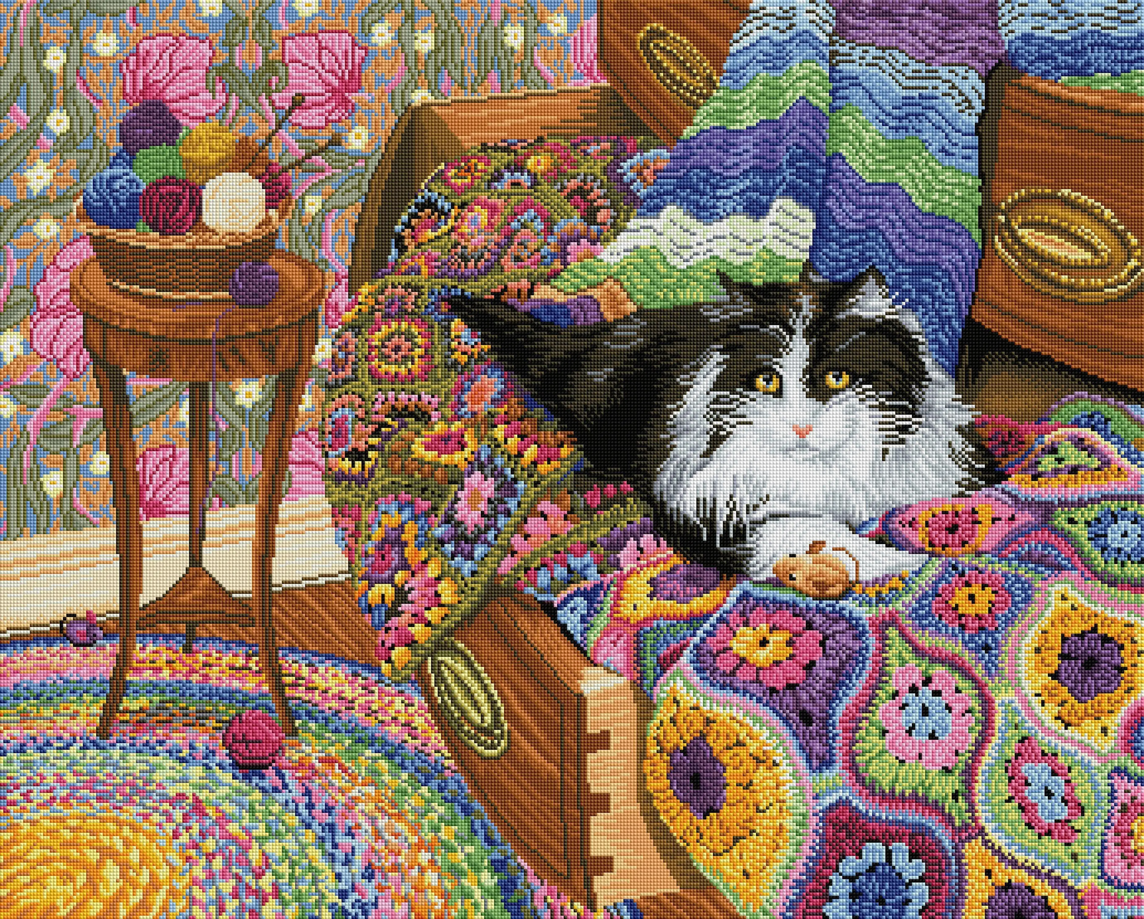 Afghan Cat