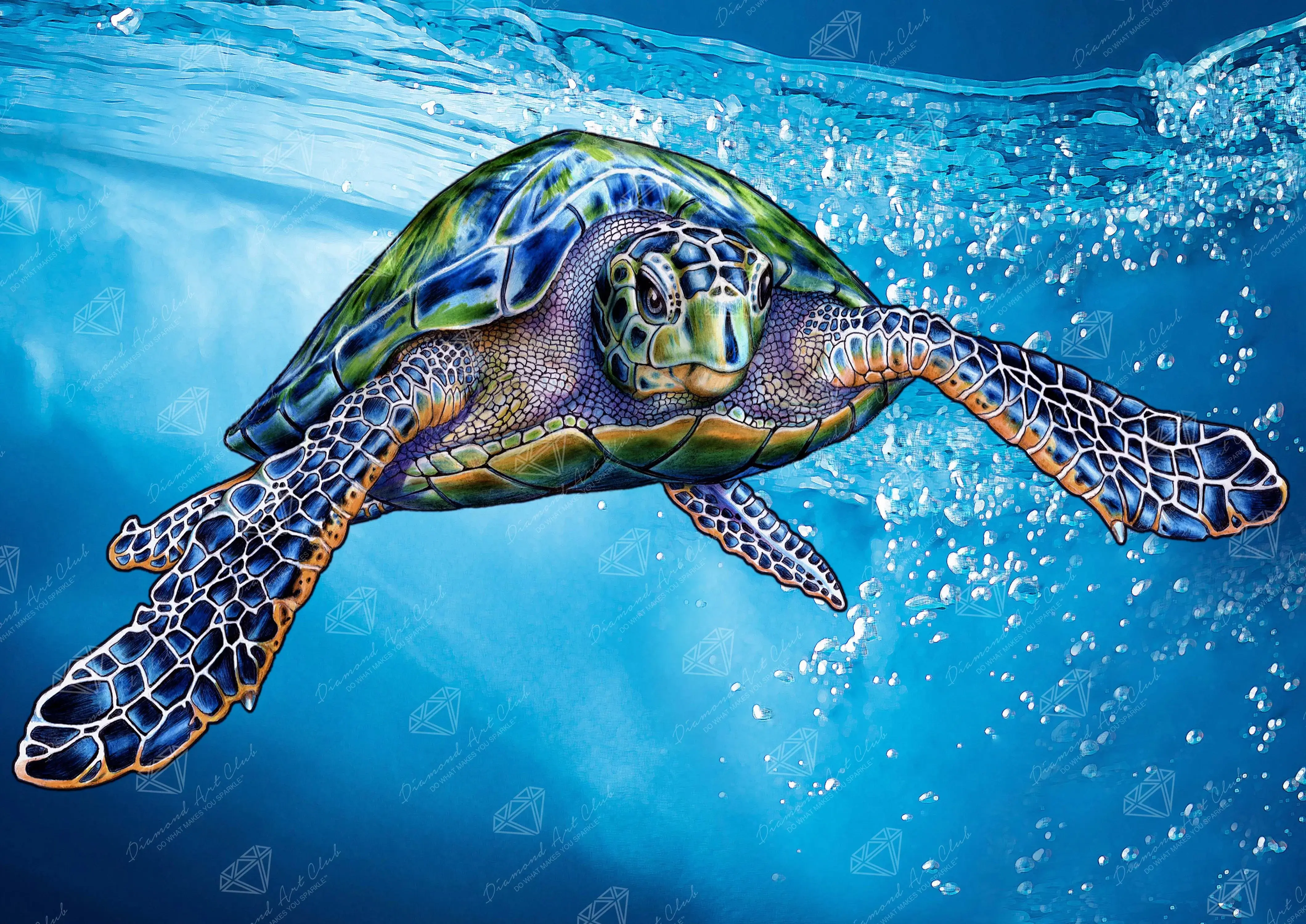 Green Sea Turtle