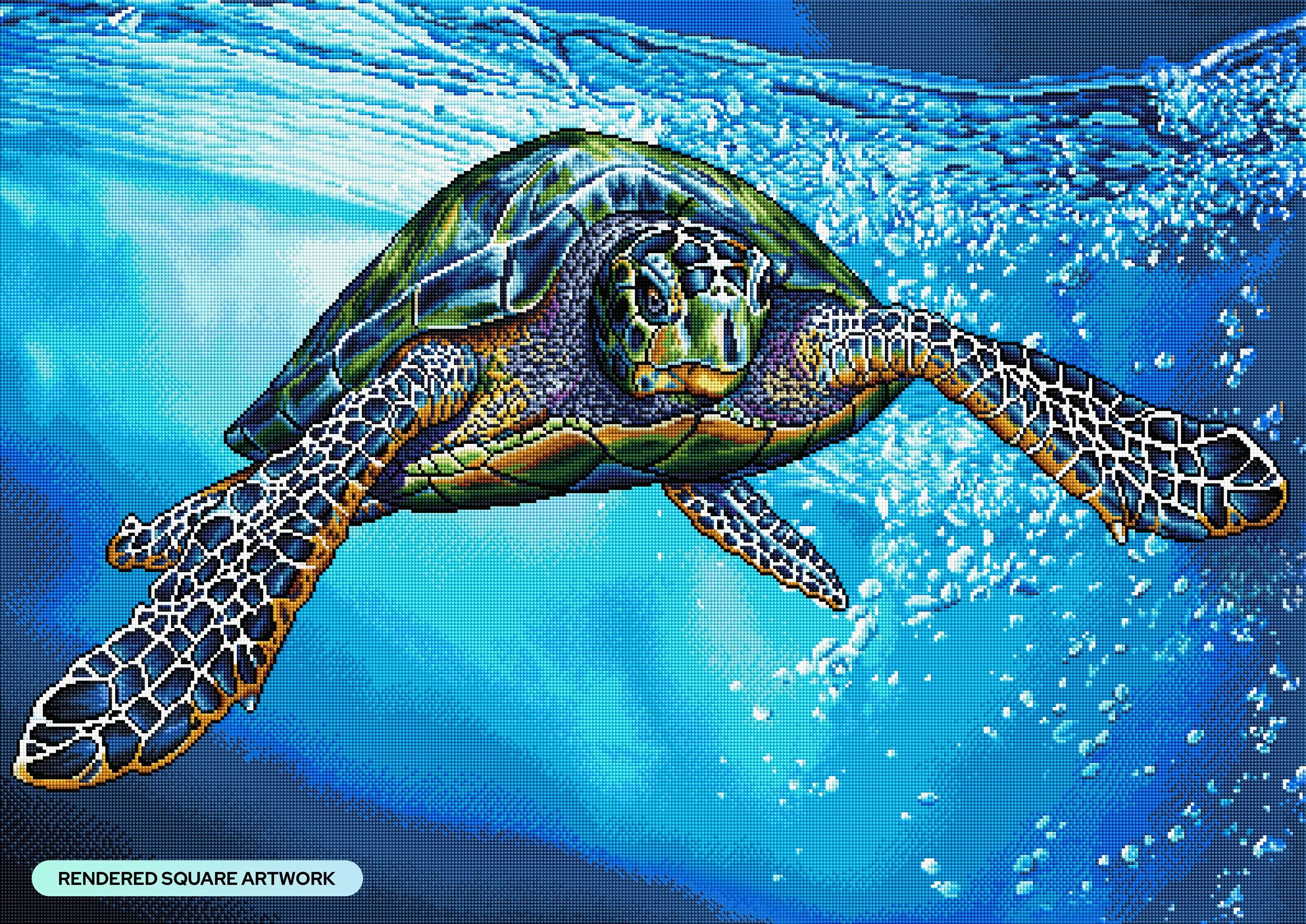 1391-green-sea-turtle-1.webp
