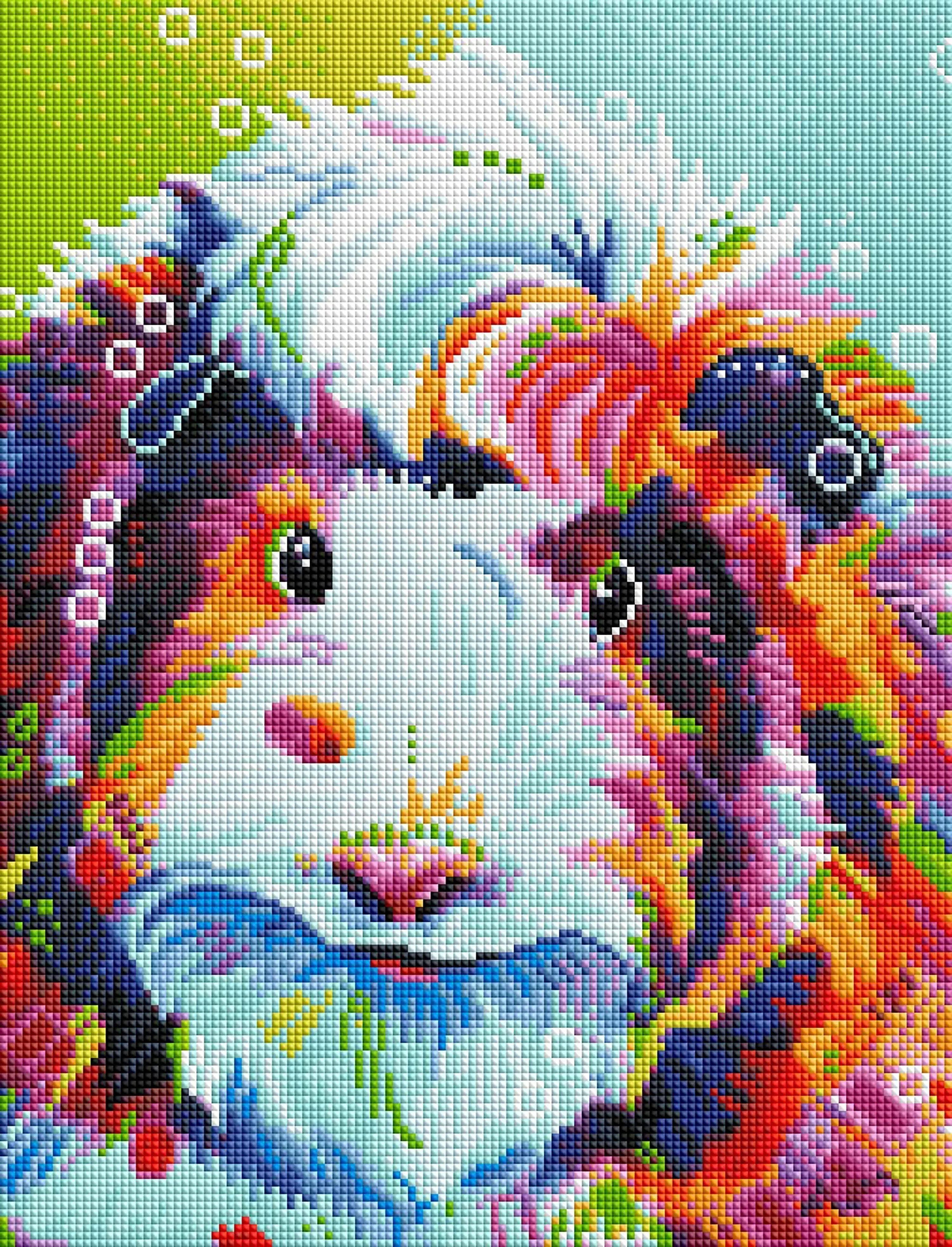 Guinea Pig