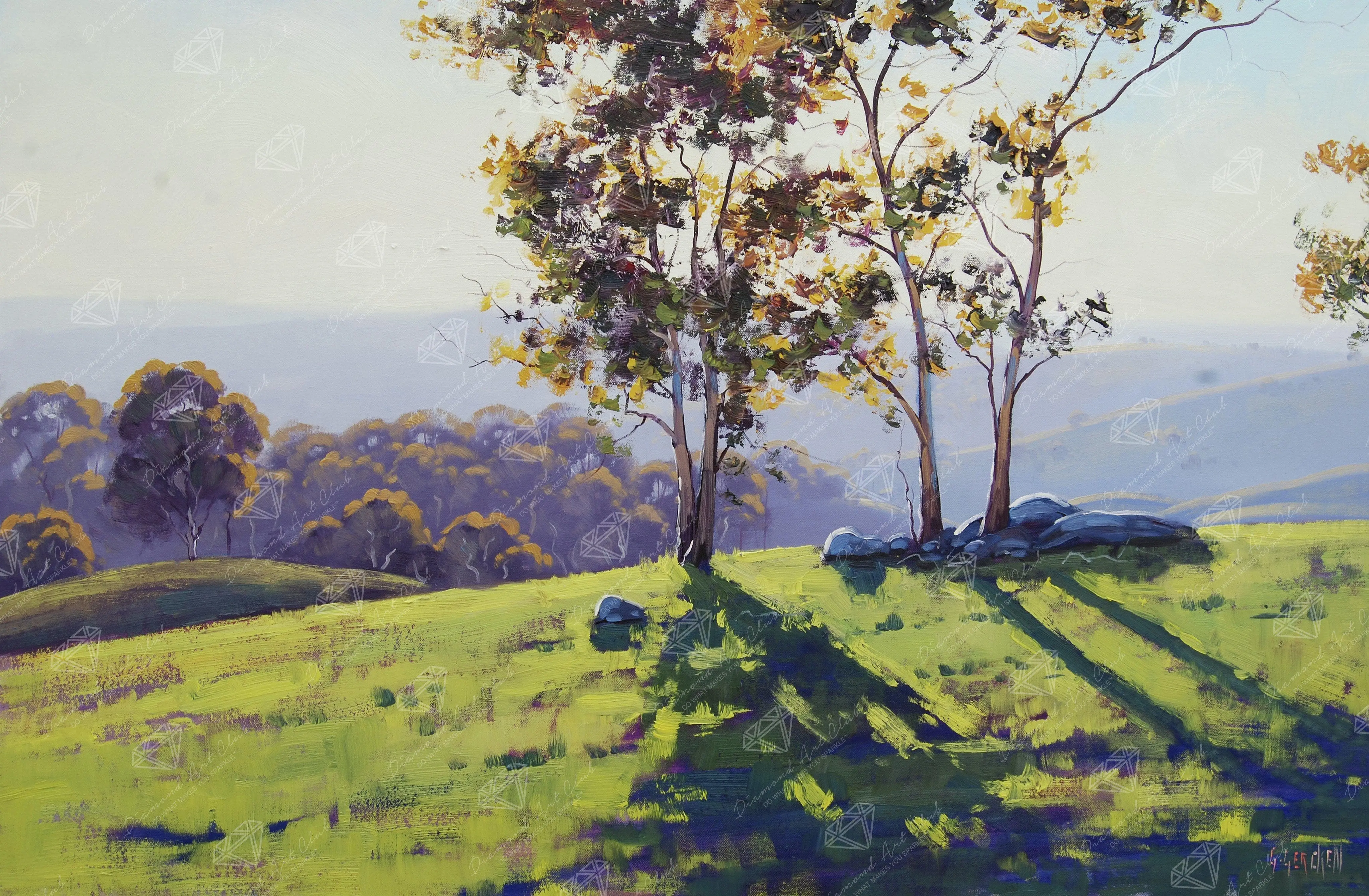 Afternoon Light Cuthill Road