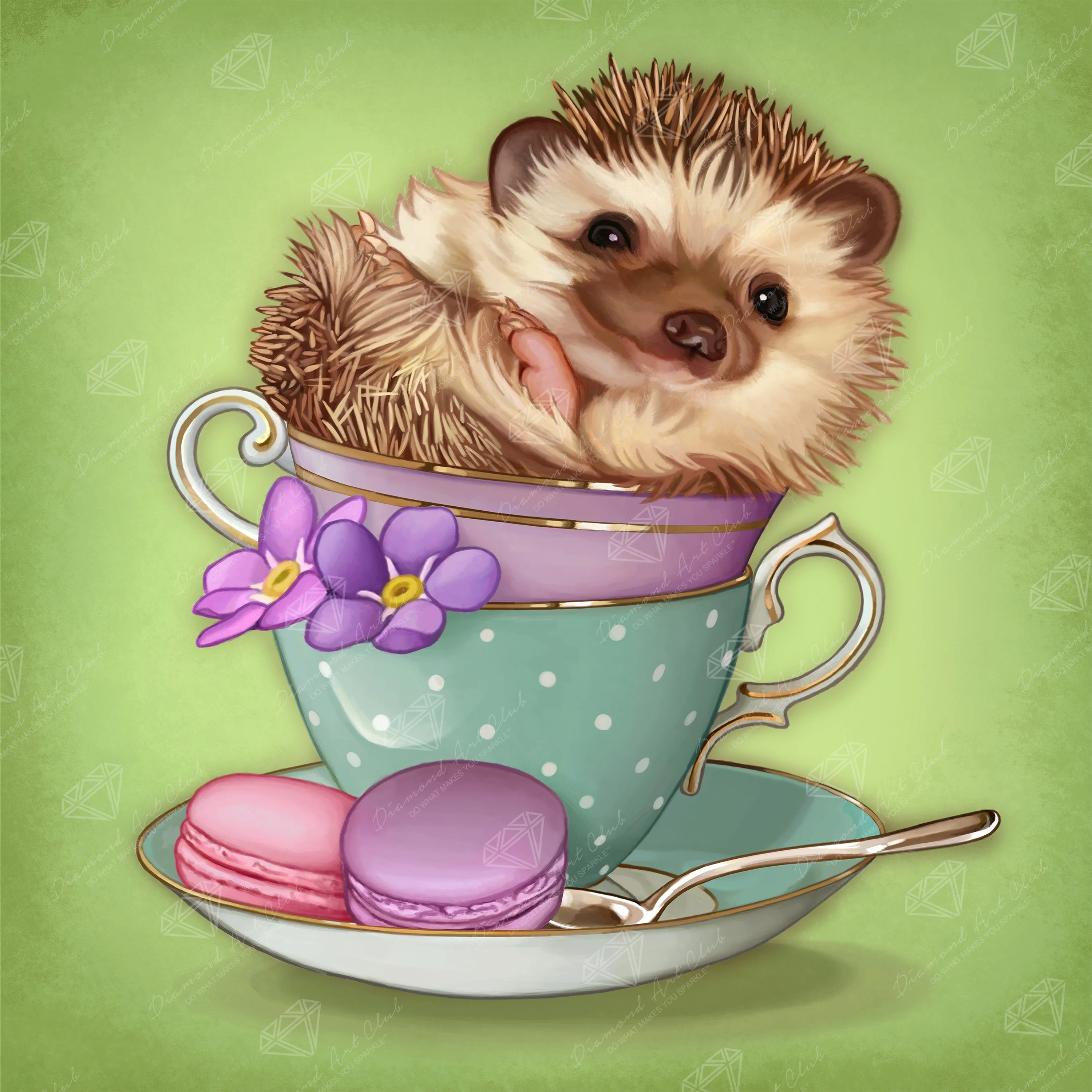 1501-hedgehog-1.webp