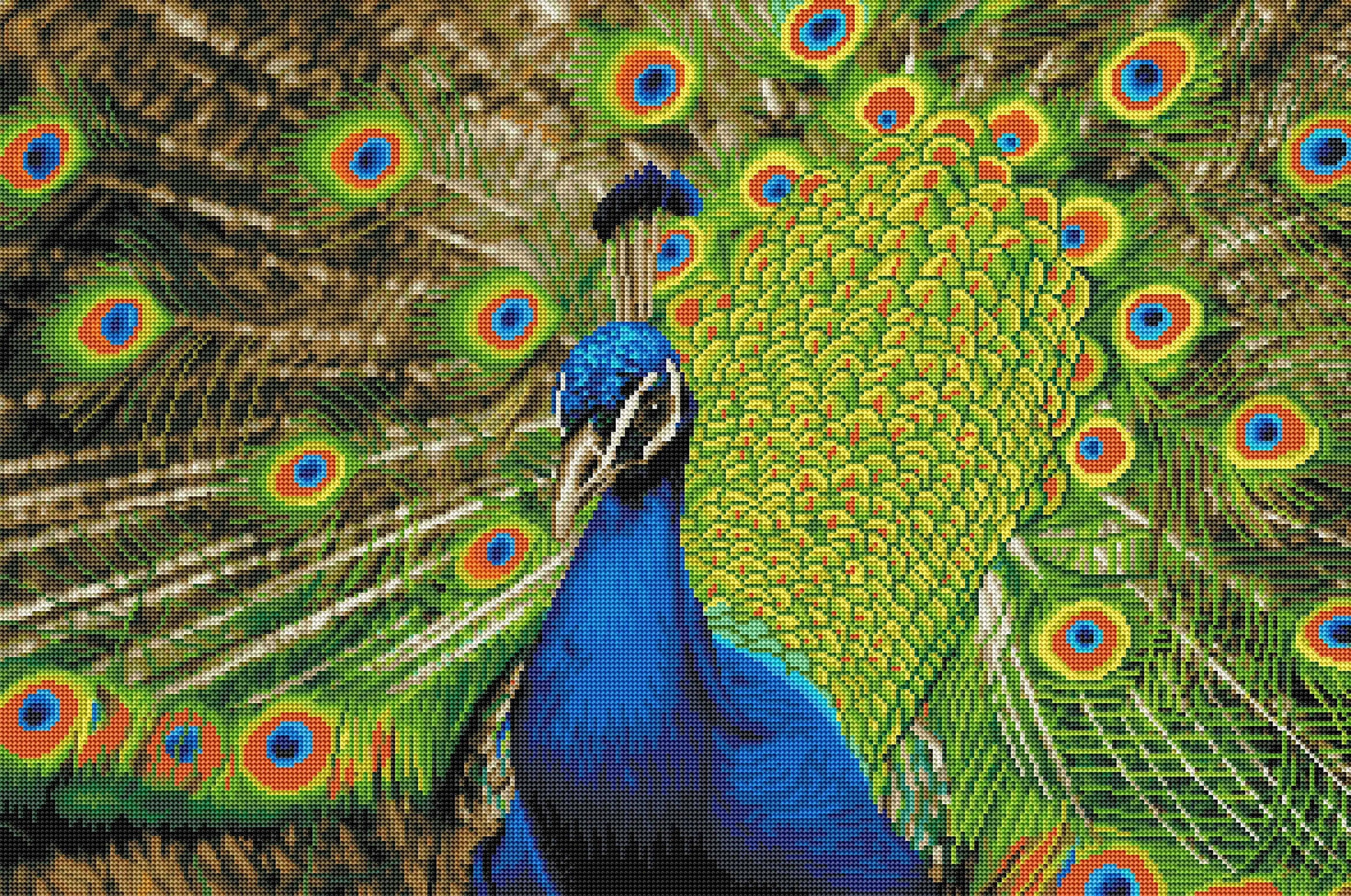 1628-indian-peafowl-1.webp