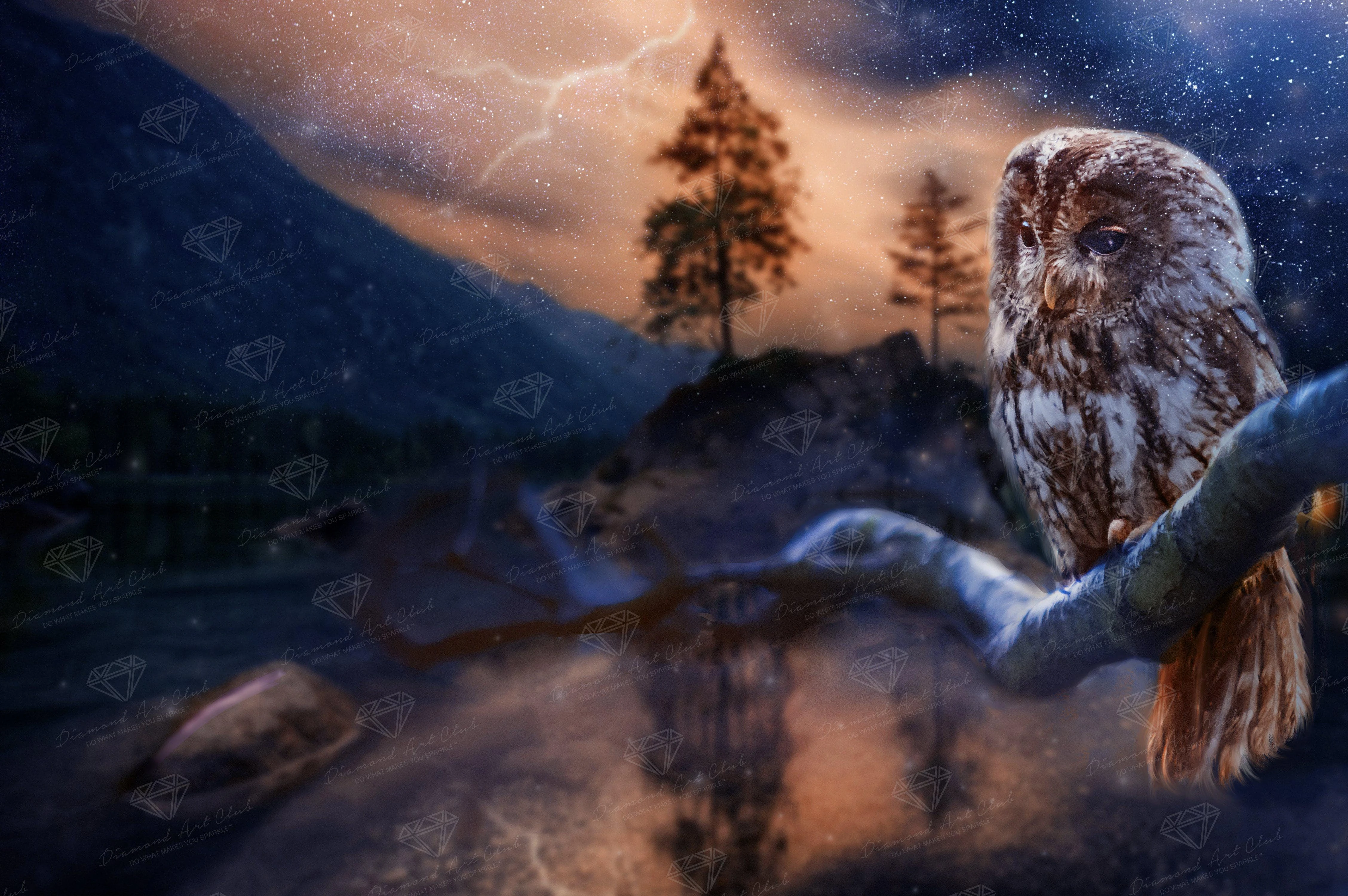 January Owl