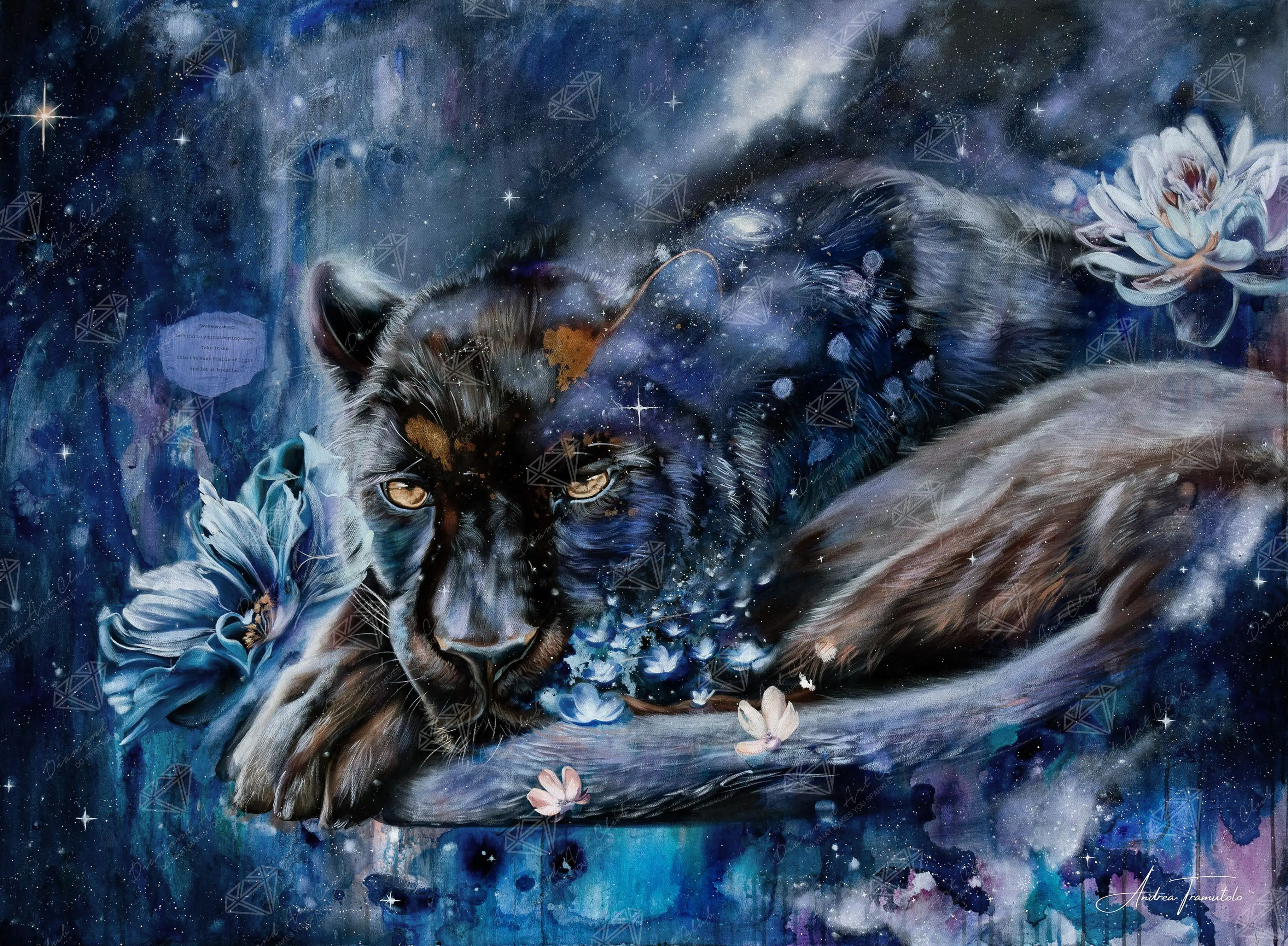 Keeper of Constellations