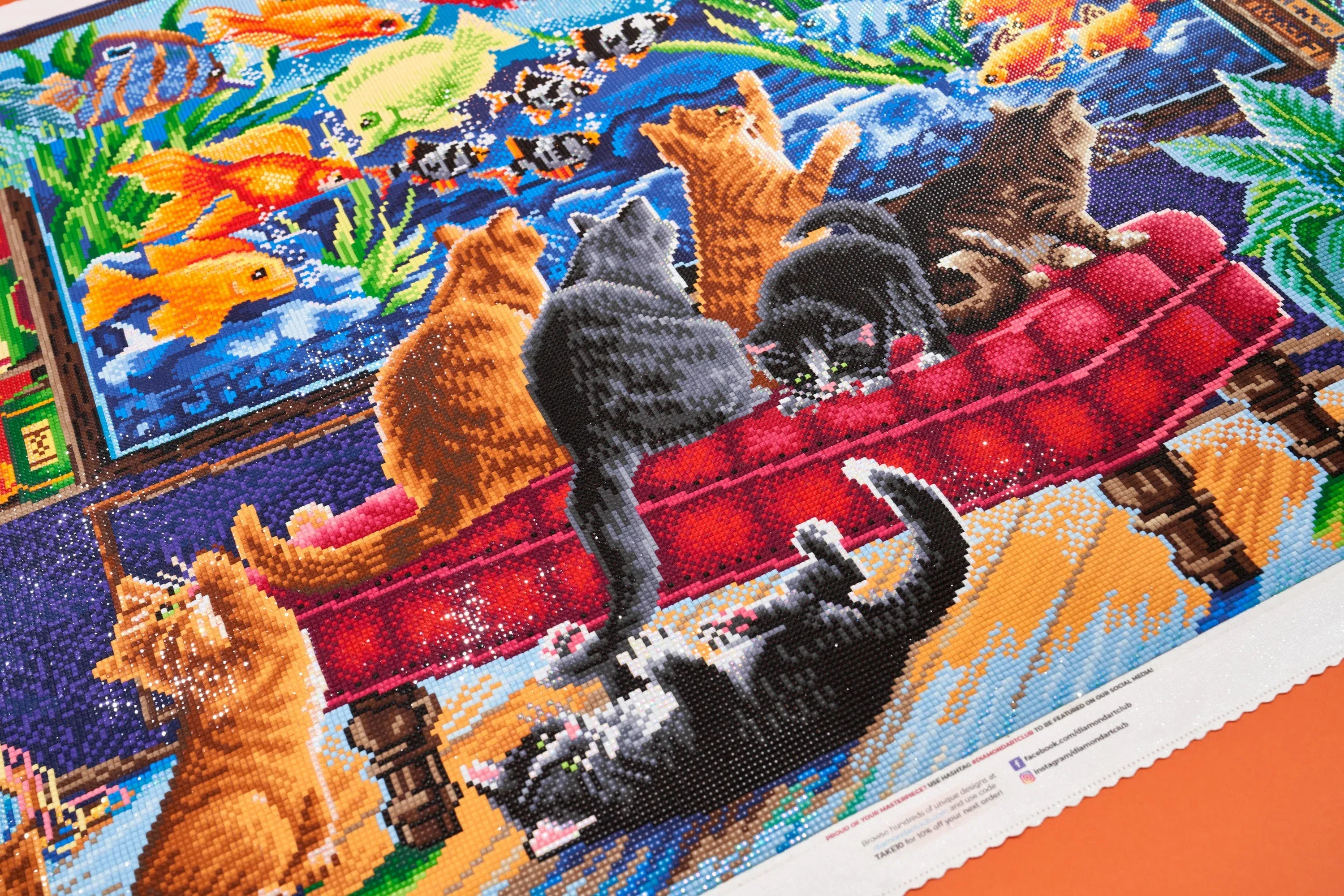 1734-kittens-and-fish-tank-1.webp