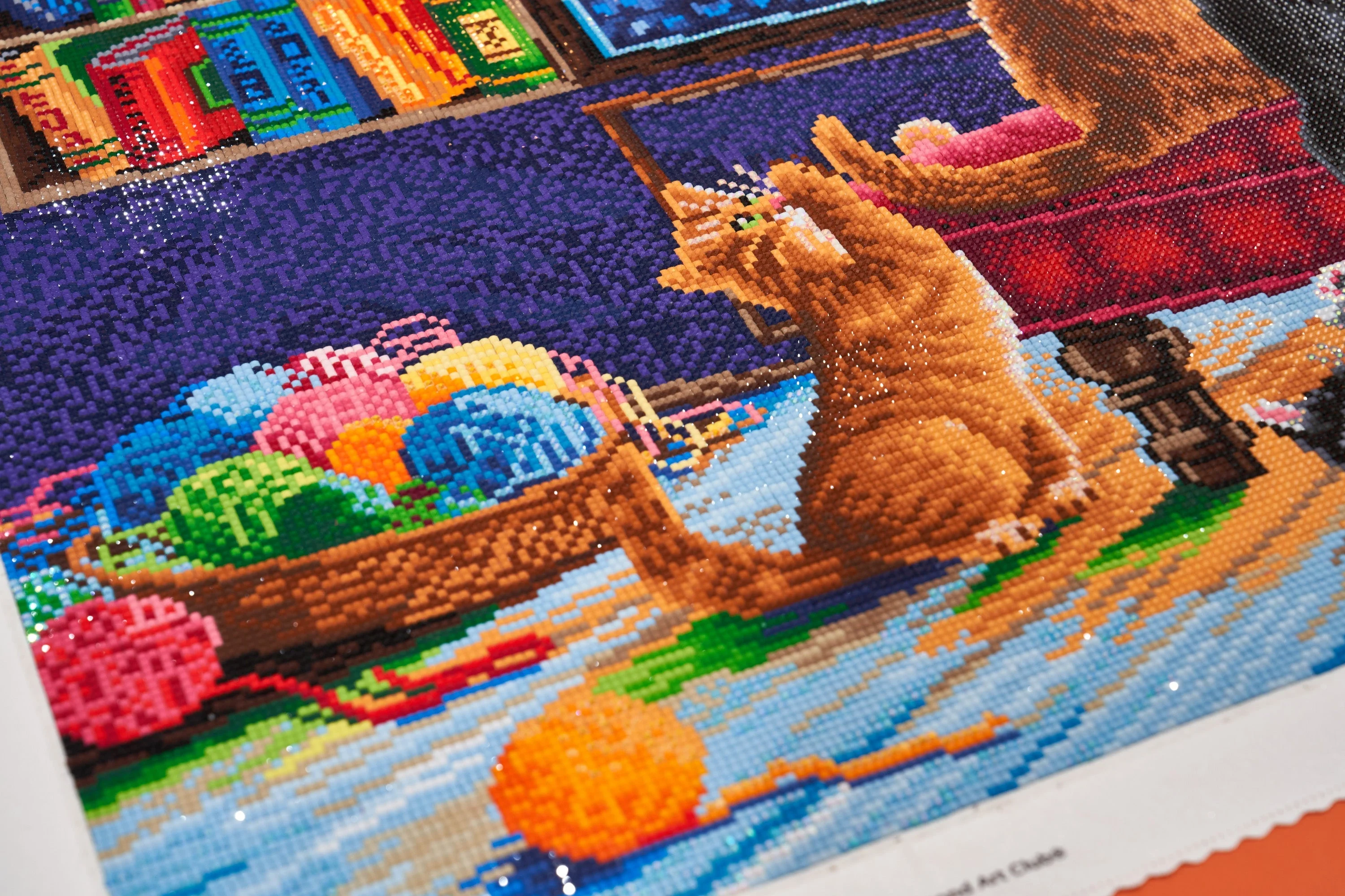 1734-kittens-and-fish-tank-1.webp