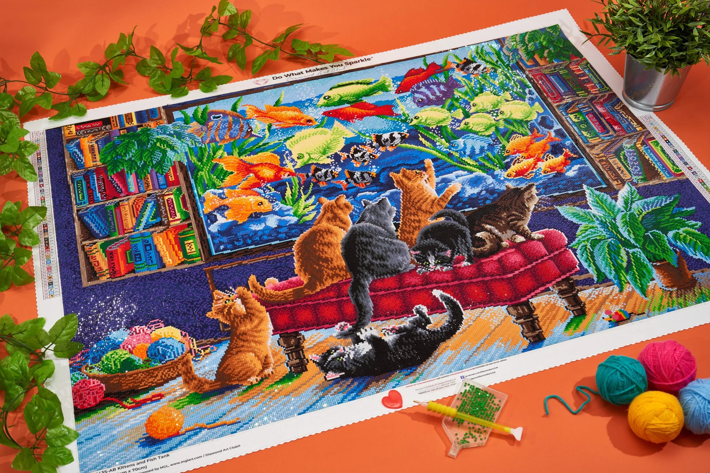 1734-kittens-and-fish-tank-1.webp