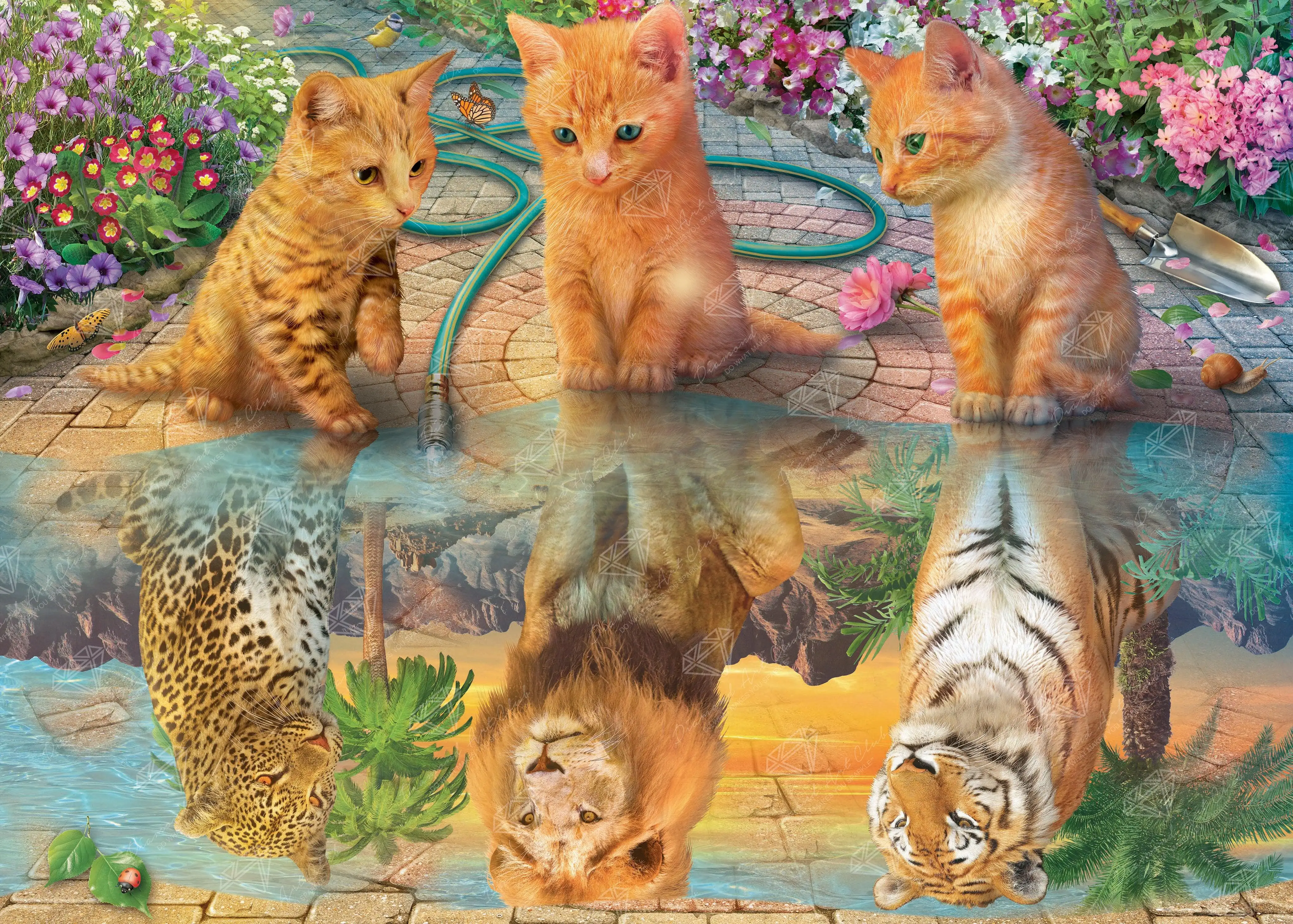 Kittens Reflection