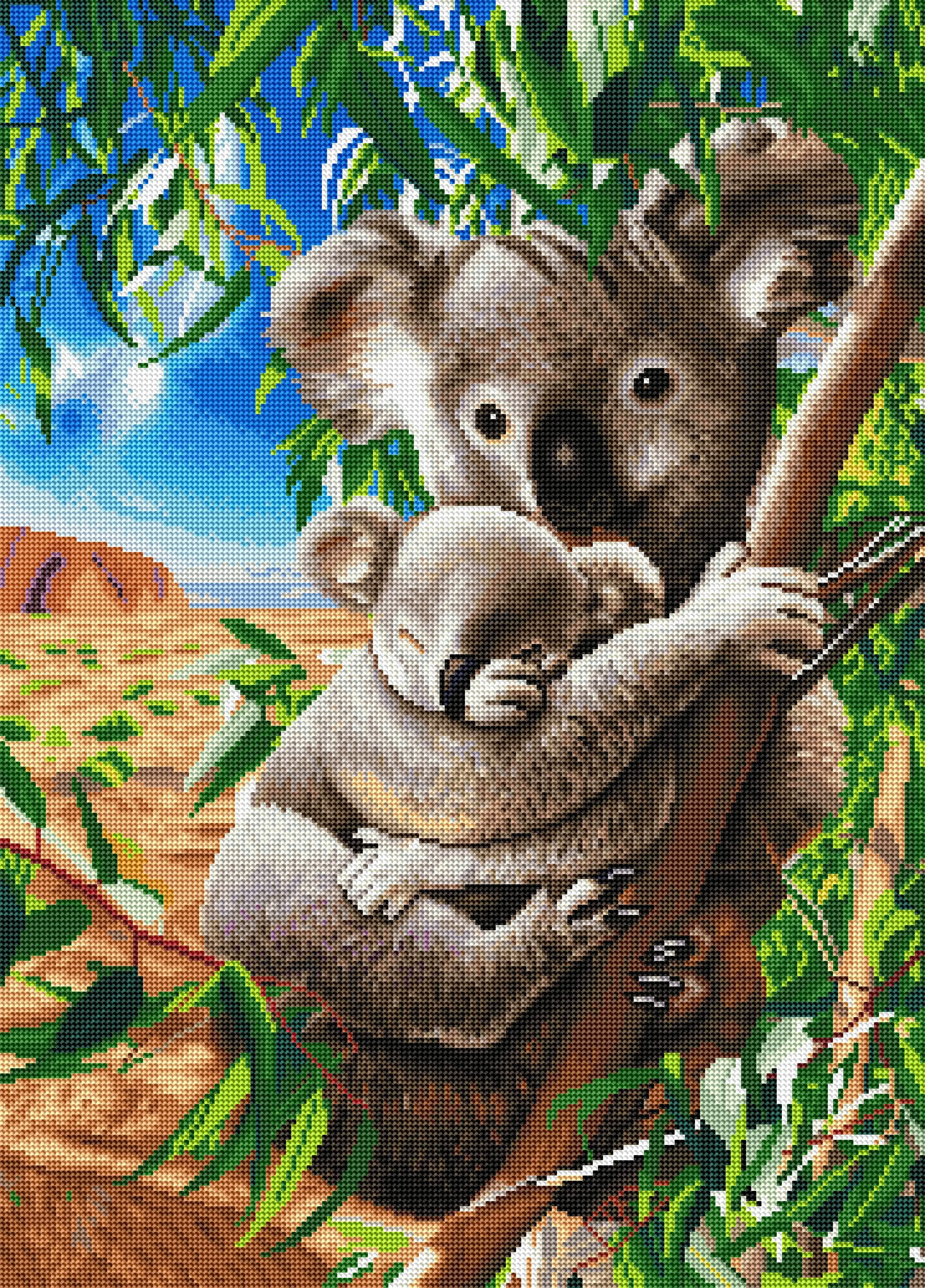 1744-koala-and-cub-1.webp