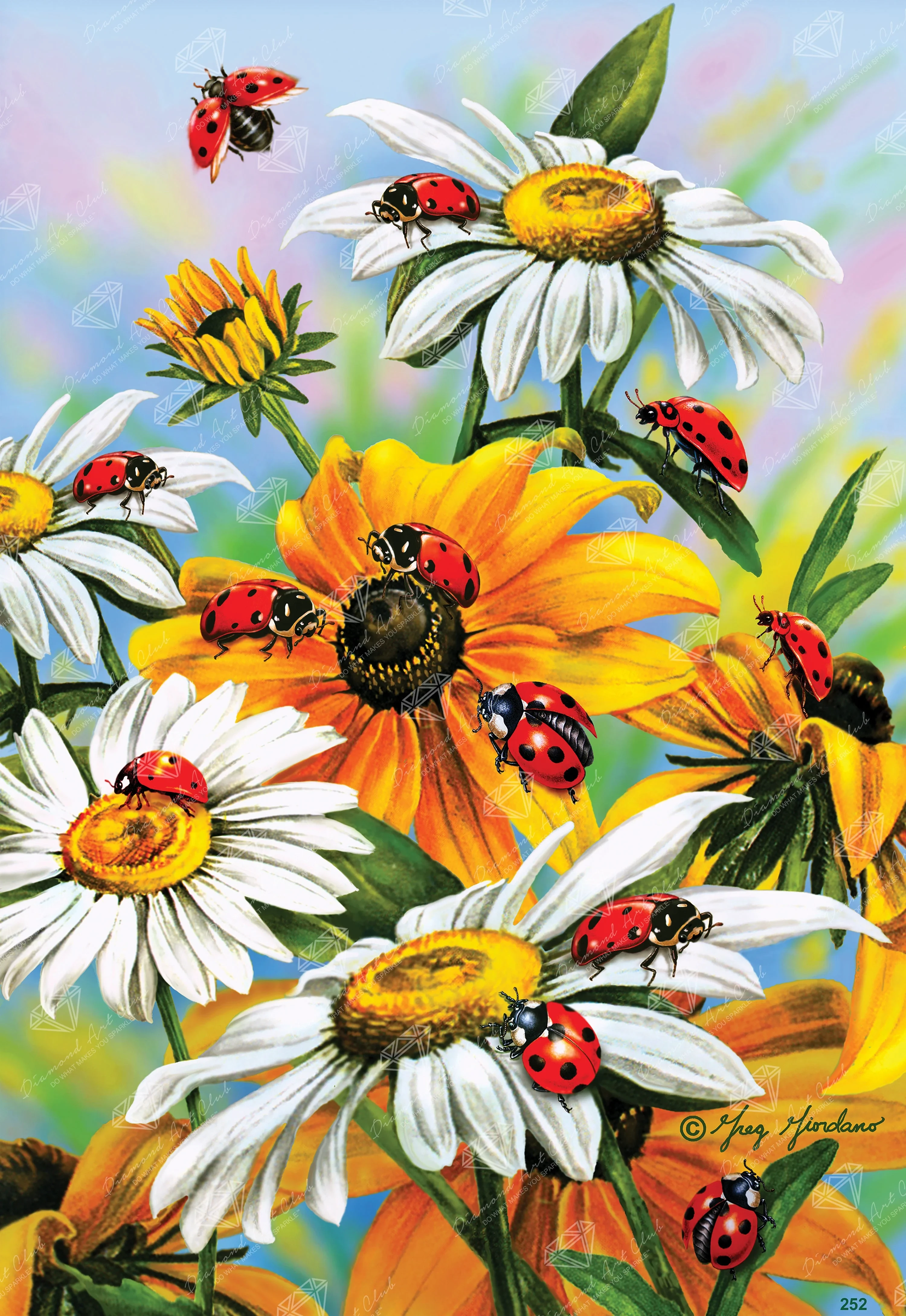 1758-ladybug-on-sunflower-1.webp