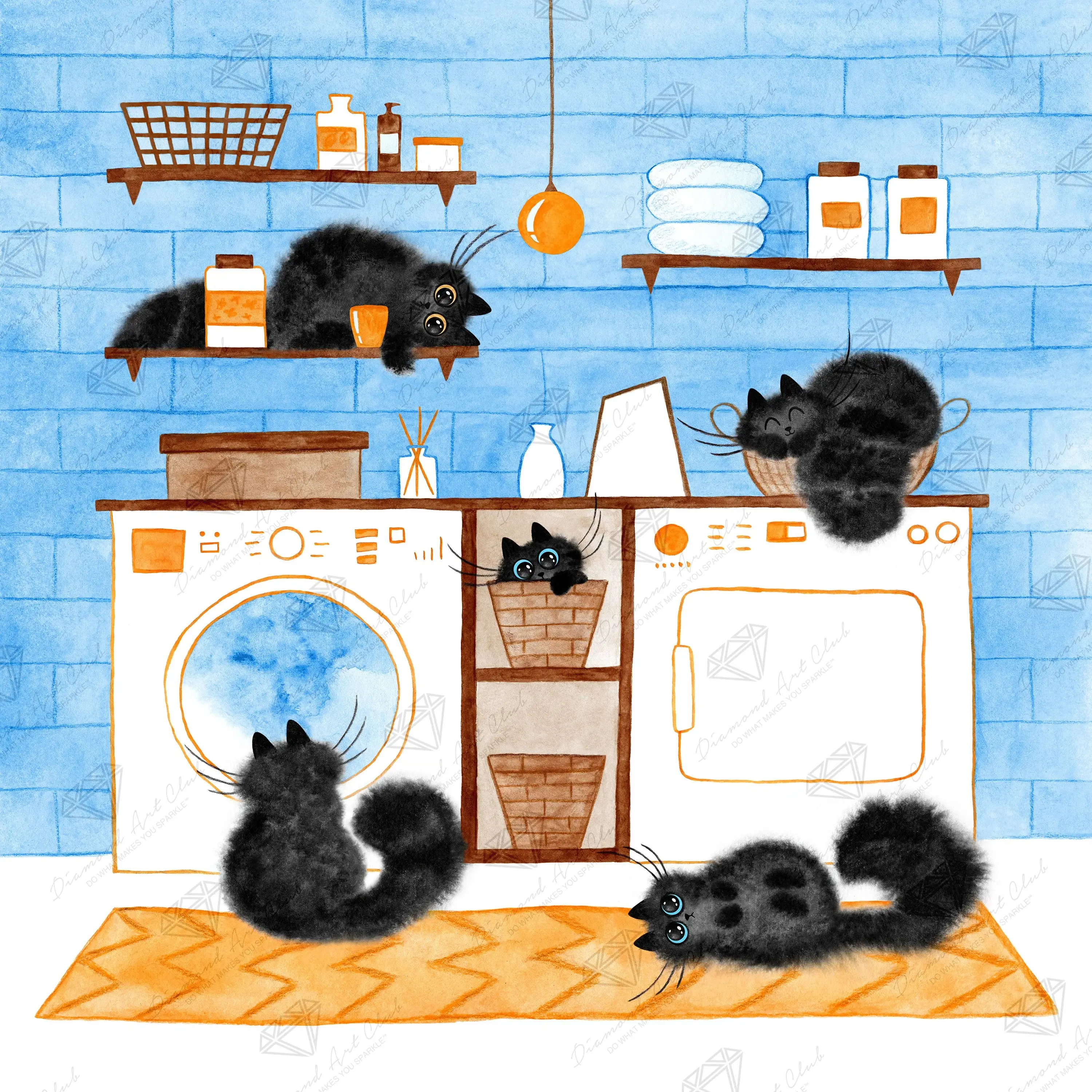 Laundry Black Cats