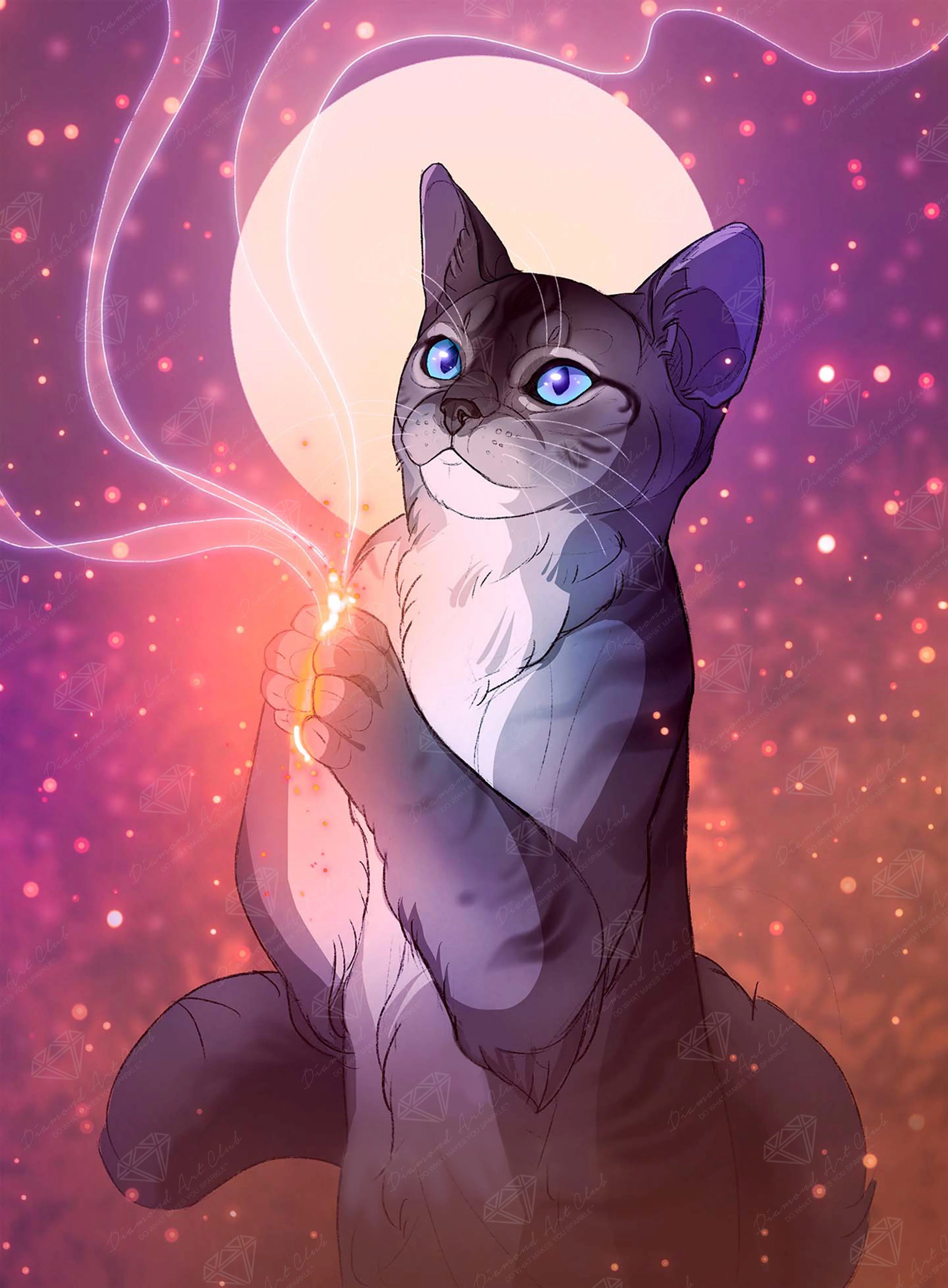 Light Meowgic