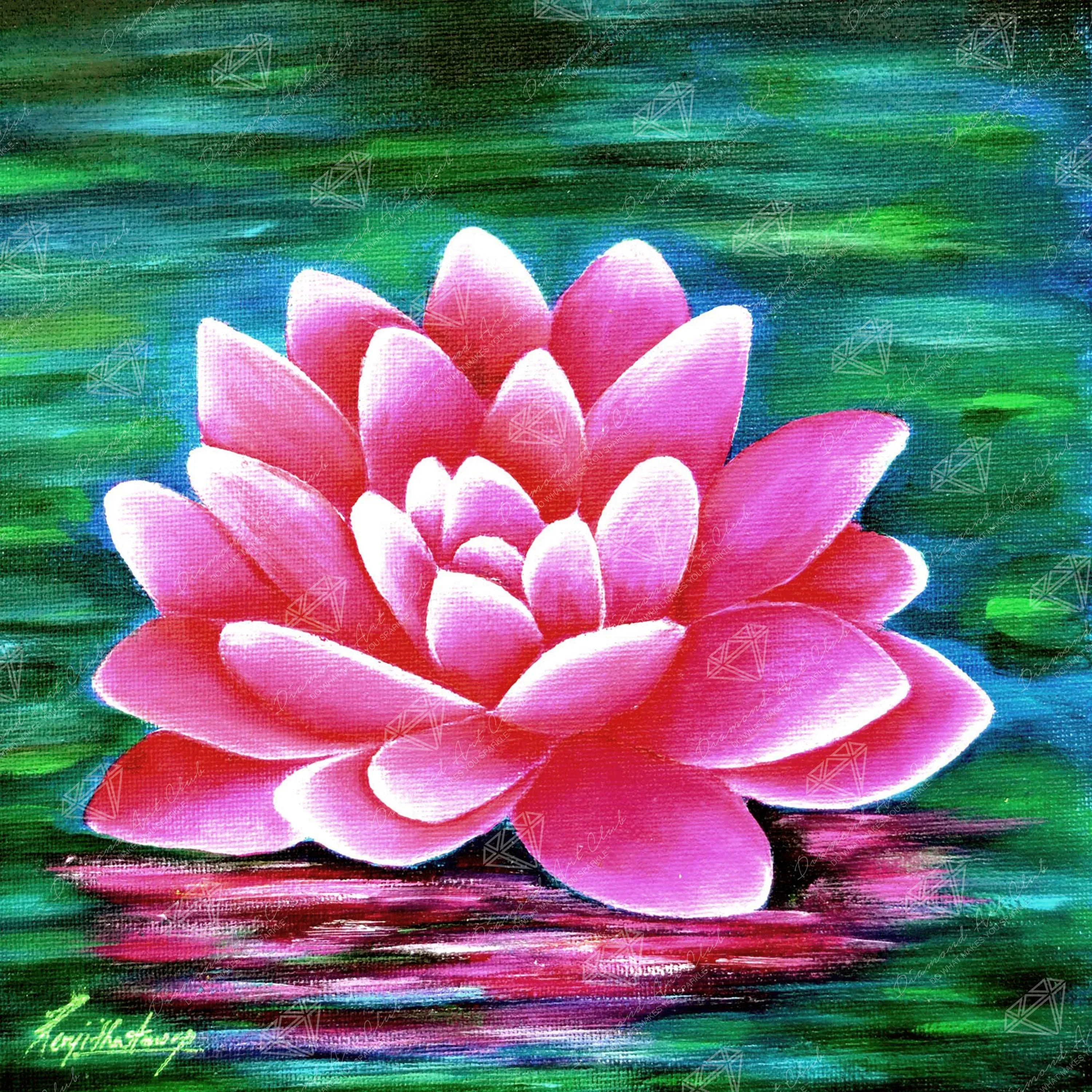 Lotus Pond