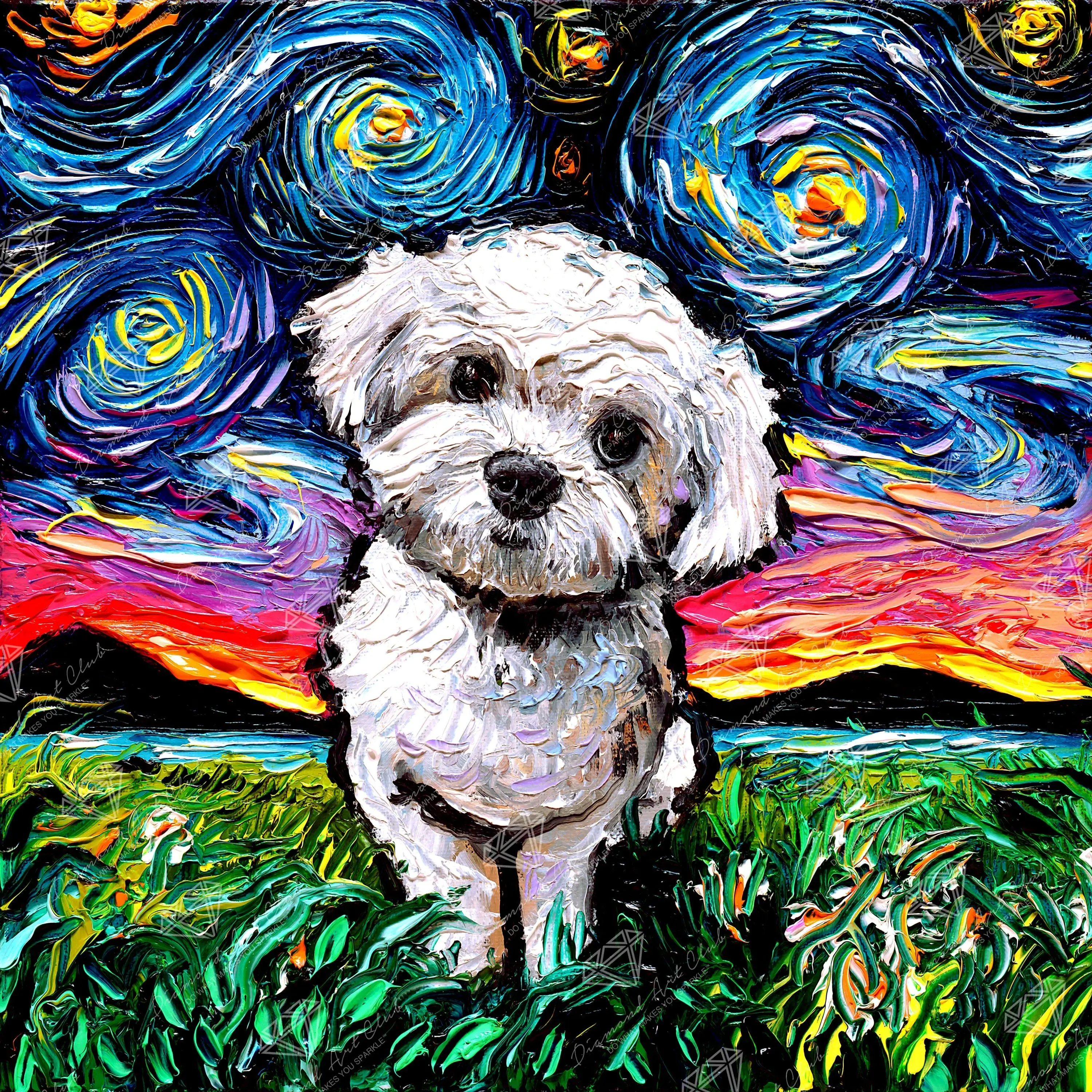 Maltipoo Night