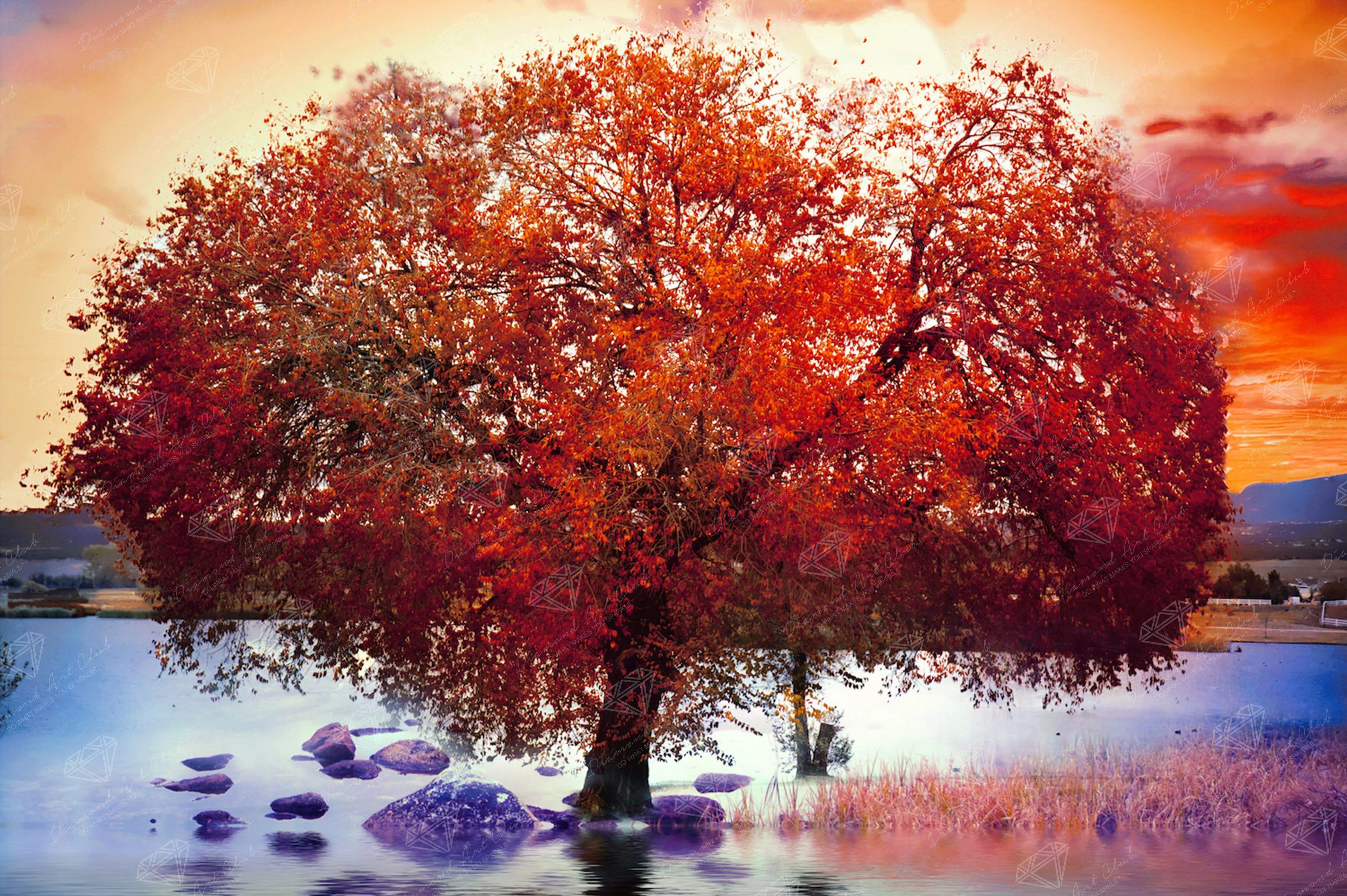 Maple Tree