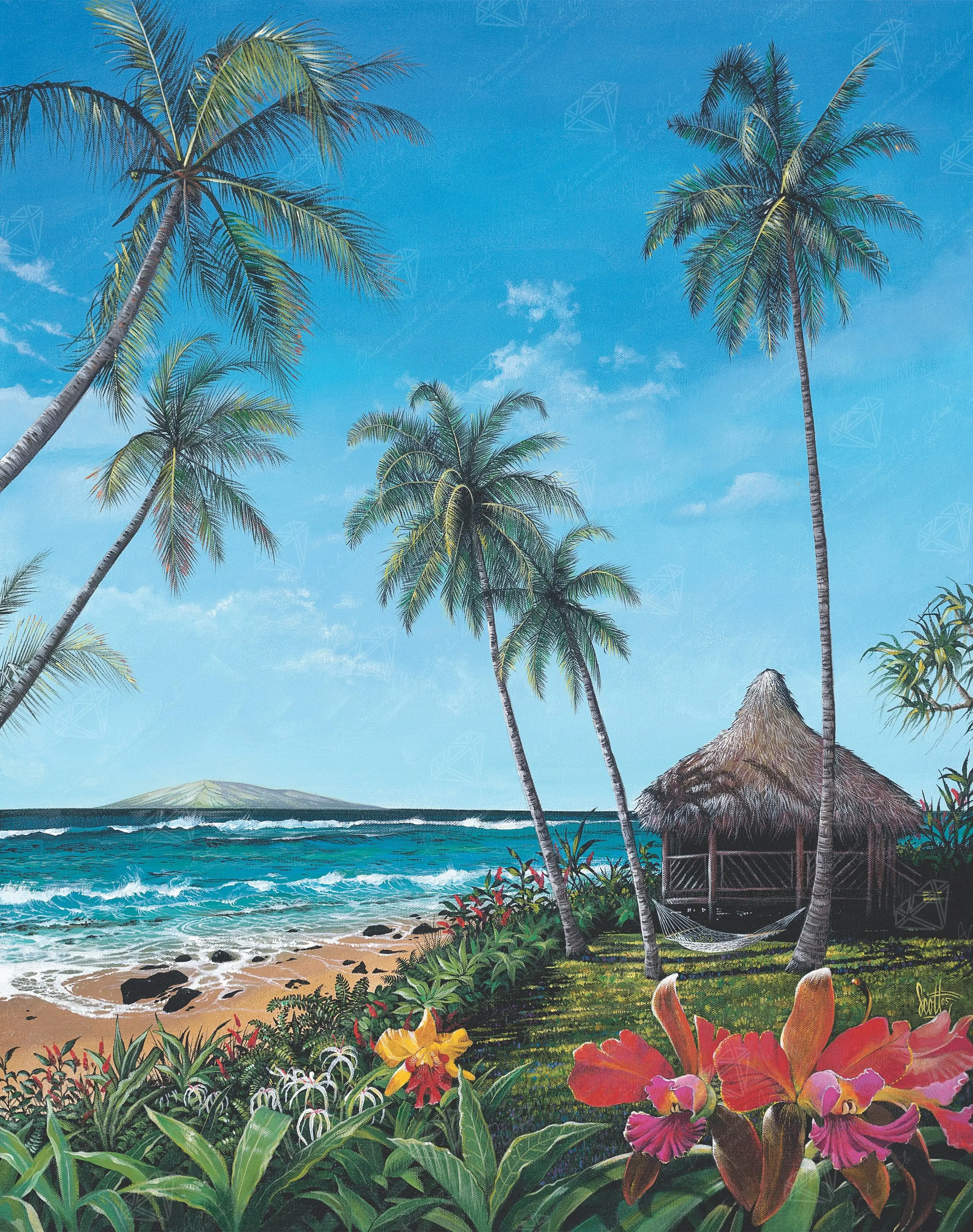 Maui Morning