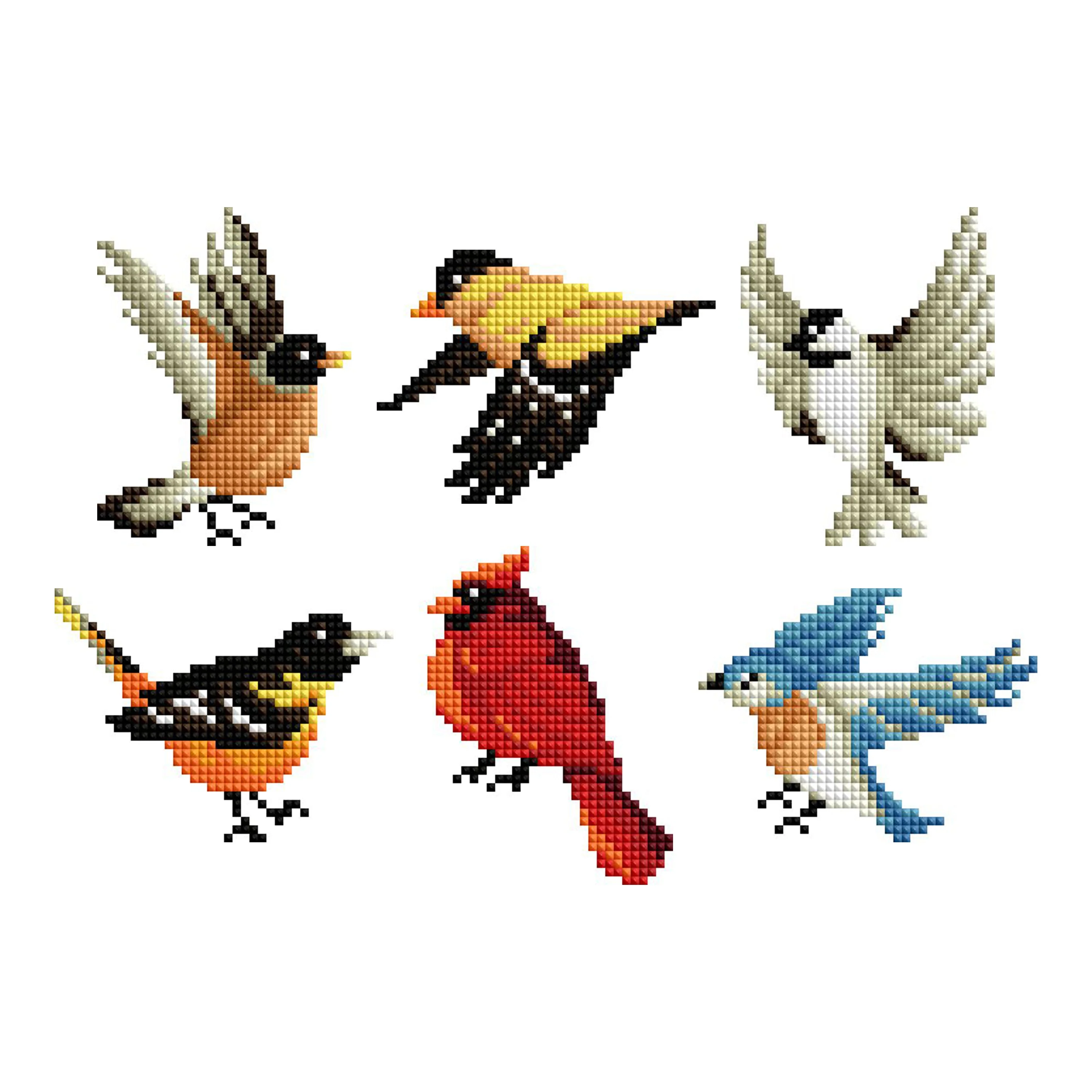 2057-mini-dazzles-birds-1.webp