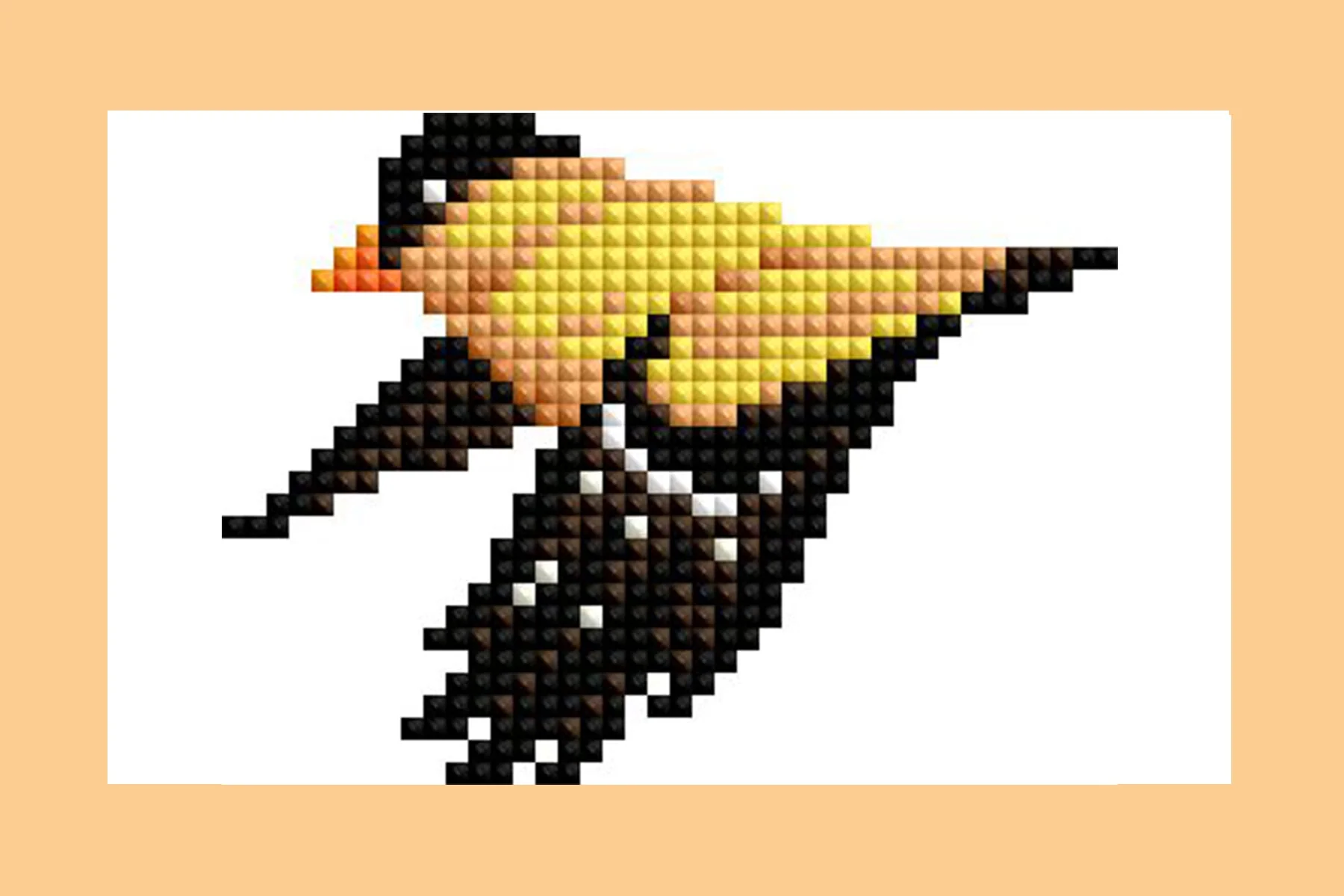 2057-mini-dazzles-birds-1.webp
