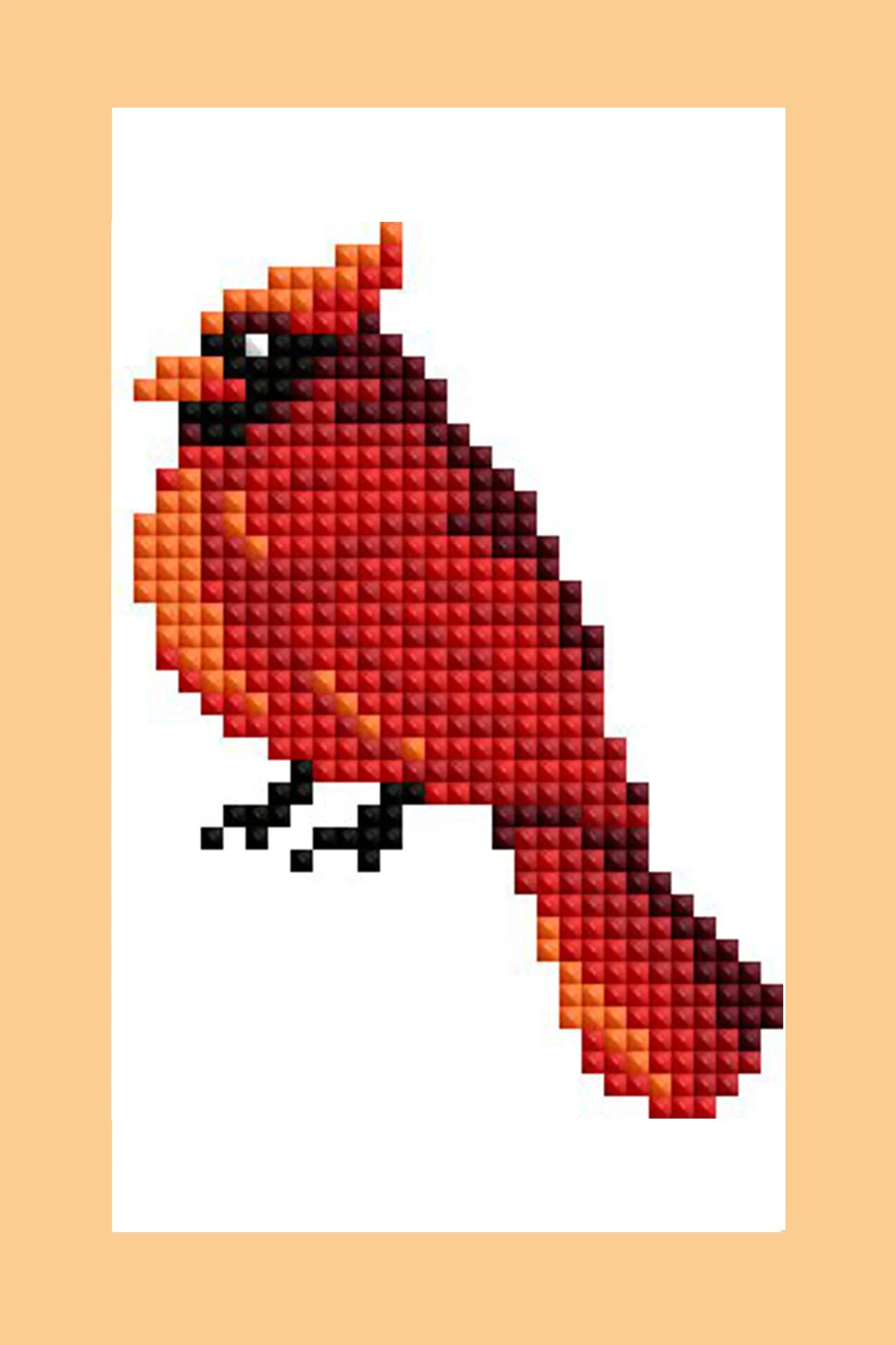 2057-mini-dazzles-birds-1.webp