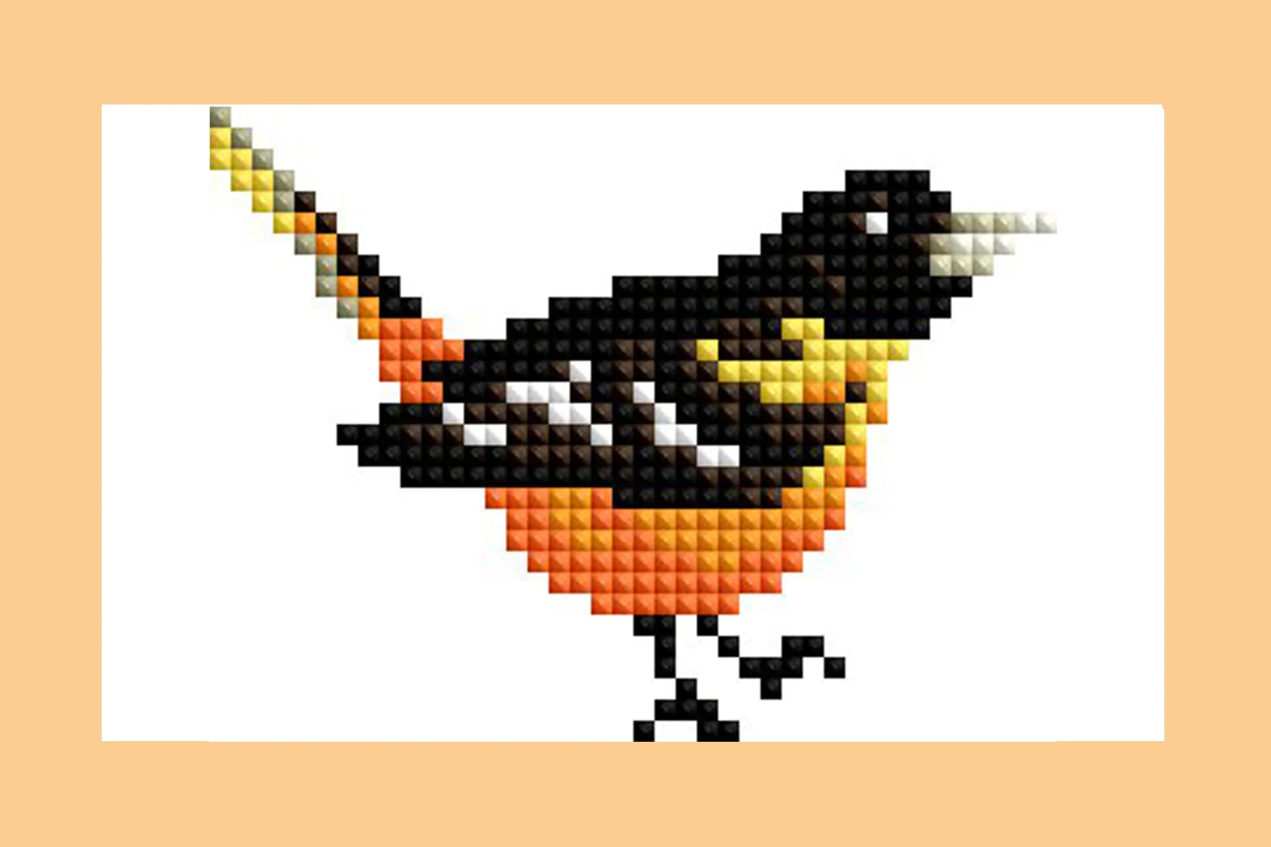 2057-mini-dazzles-birds-1.webp