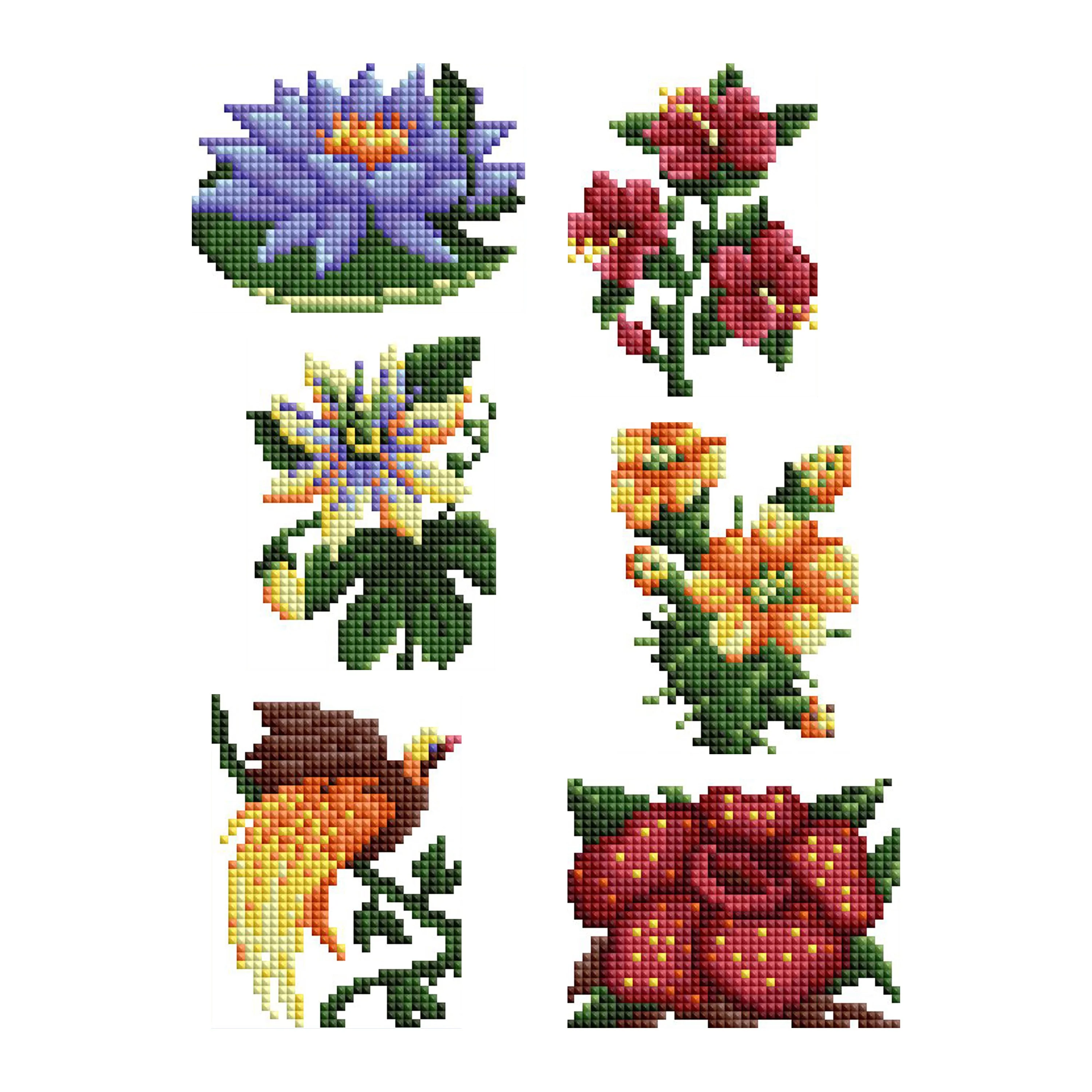 Mini Dazzlesâ¢ - Exotic Flora