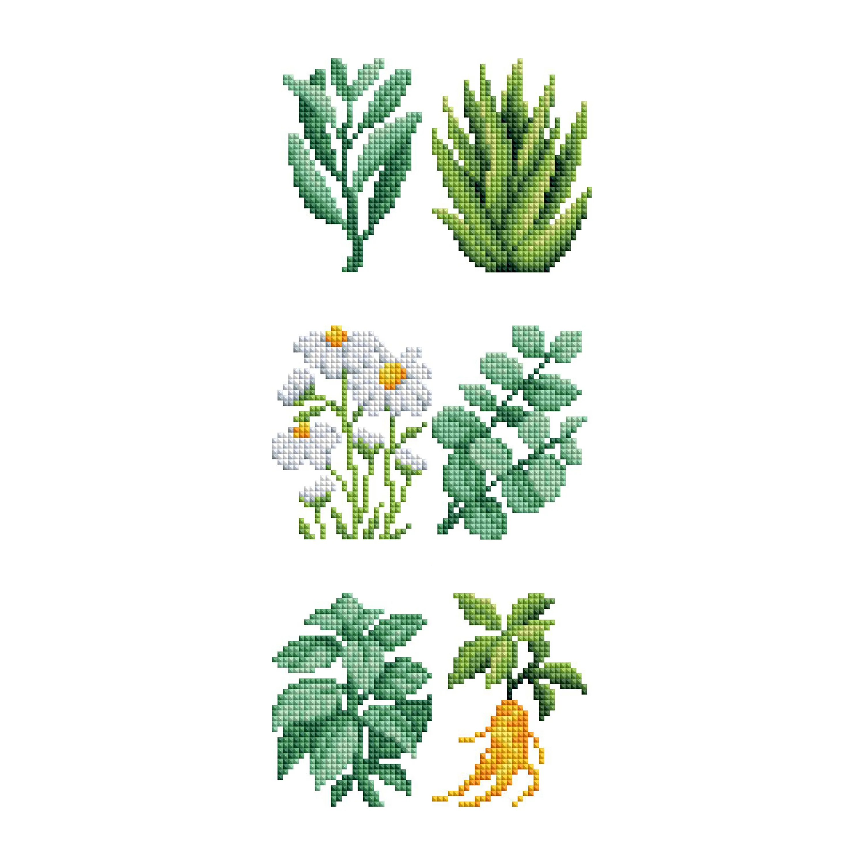 2077-mini-dazzles-herbs-medicinal-plants-1.webp