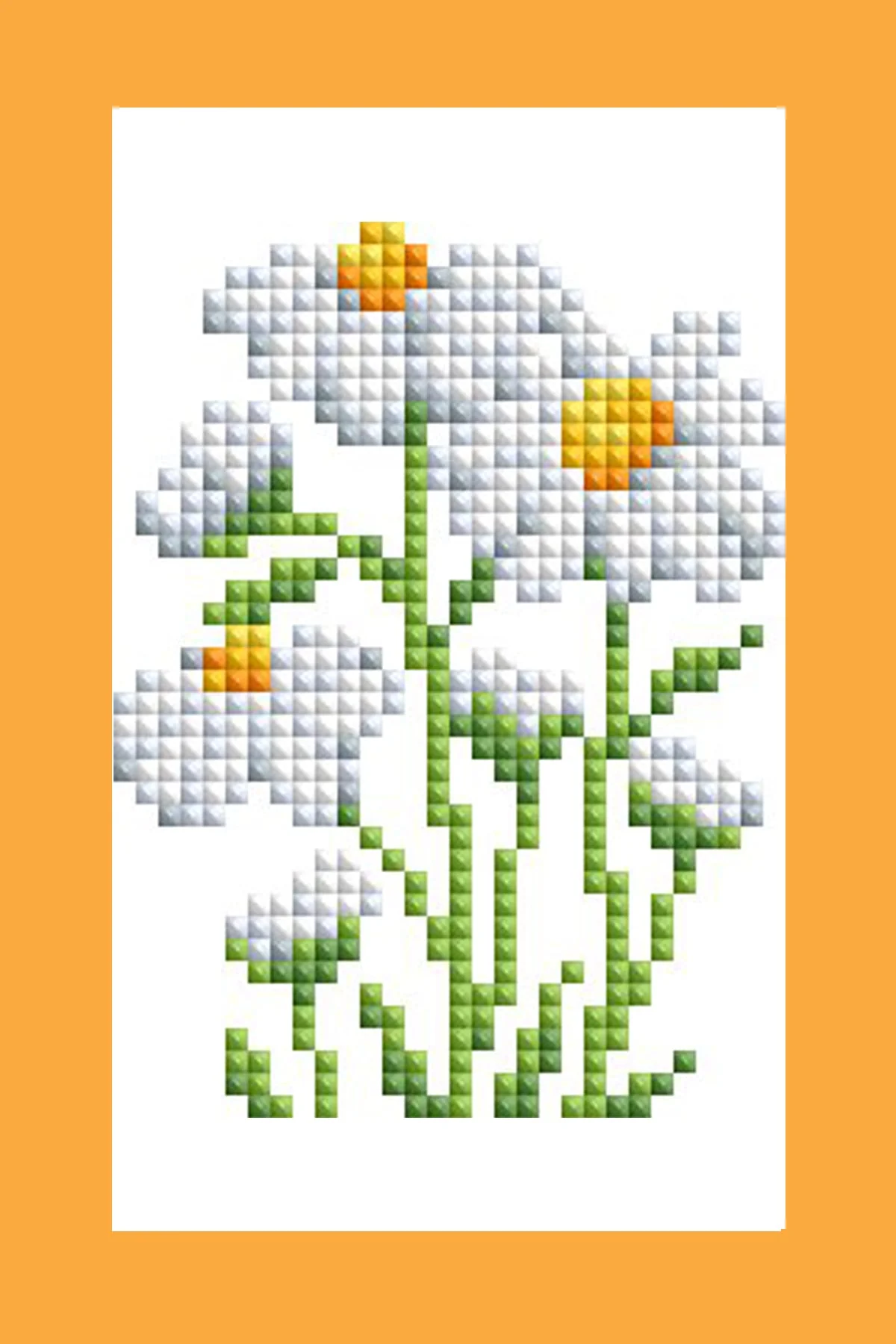 2077-mini-dazzles-herbs-medicinal-plants-1.webp