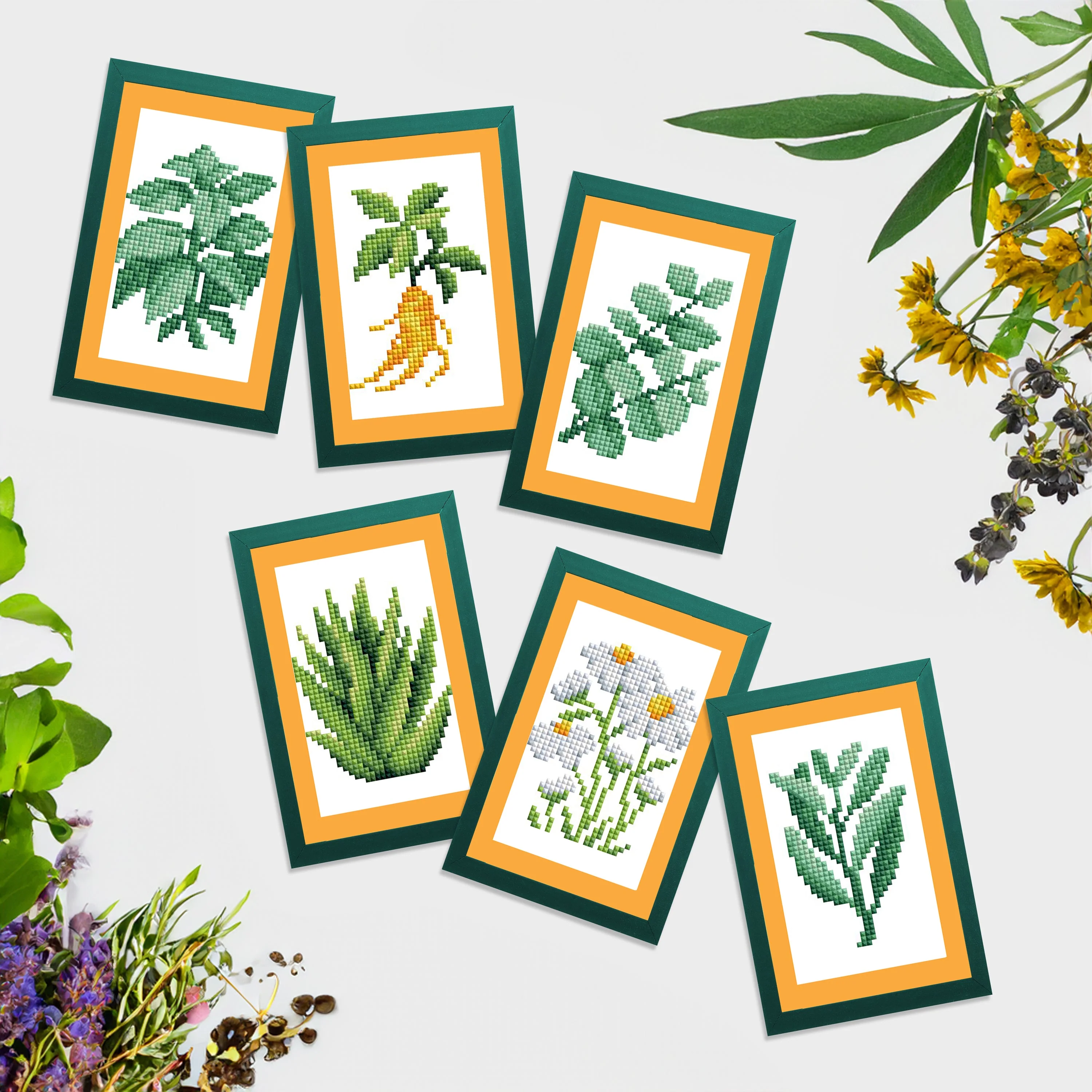 2077-mini-dazzles-herbs-medicinal-plants-1.webp