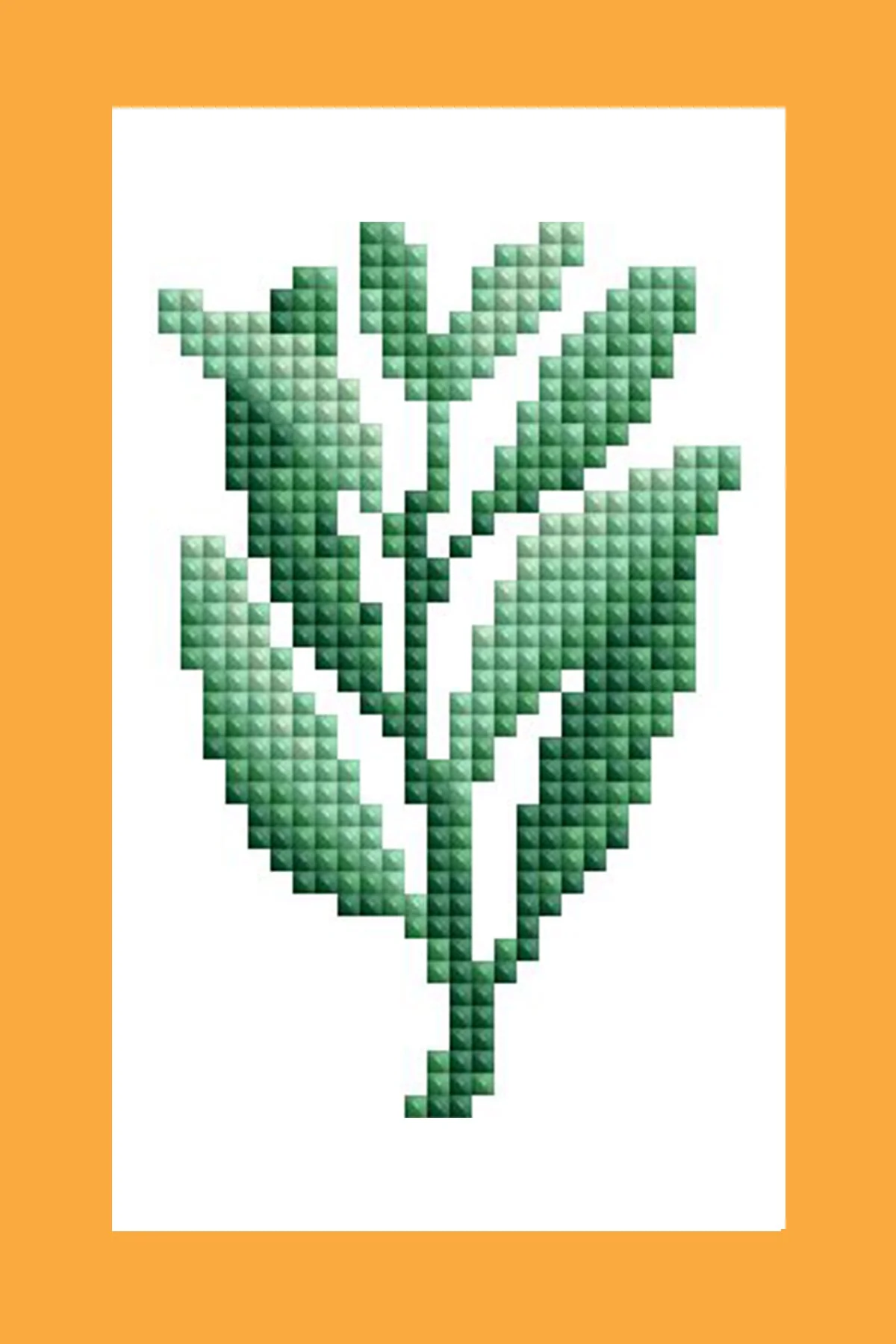 2077-mini-dazzles-herbs-medicinal-plants-1.webp
