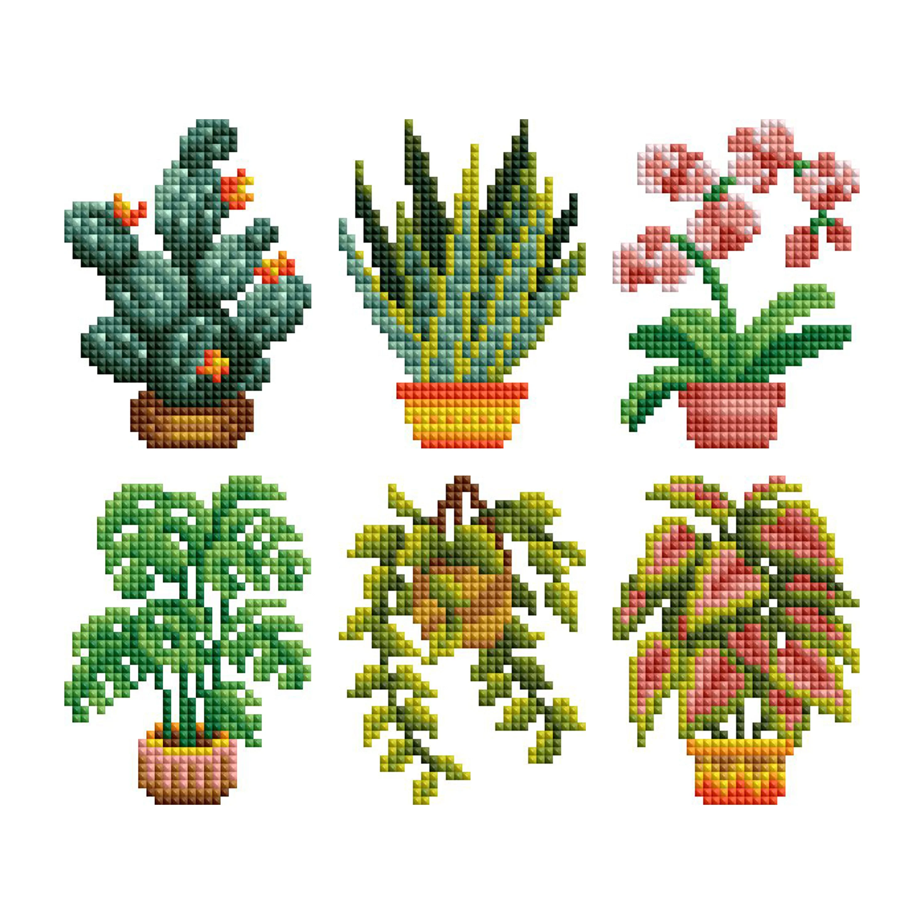 Mini Dazzlesâ¢ - House Plants