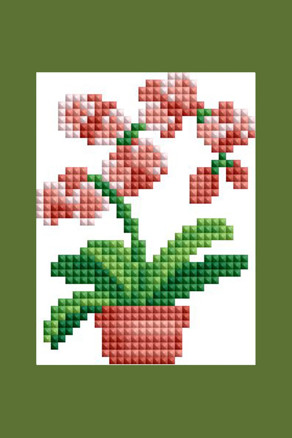 2078-mini-dazzles-house-plants-1.webp