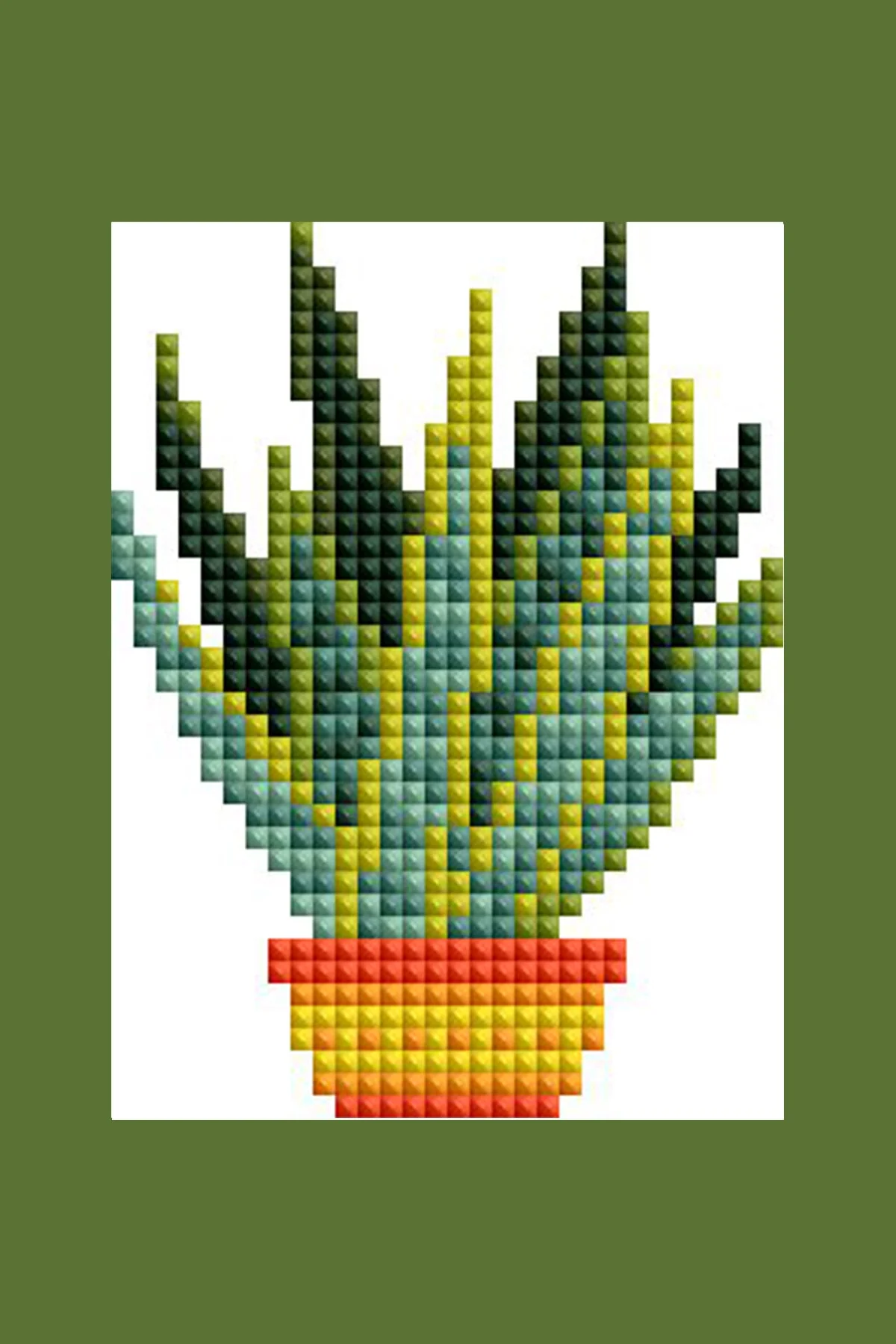 2078-mini-dazzles-house-plants-1.webp