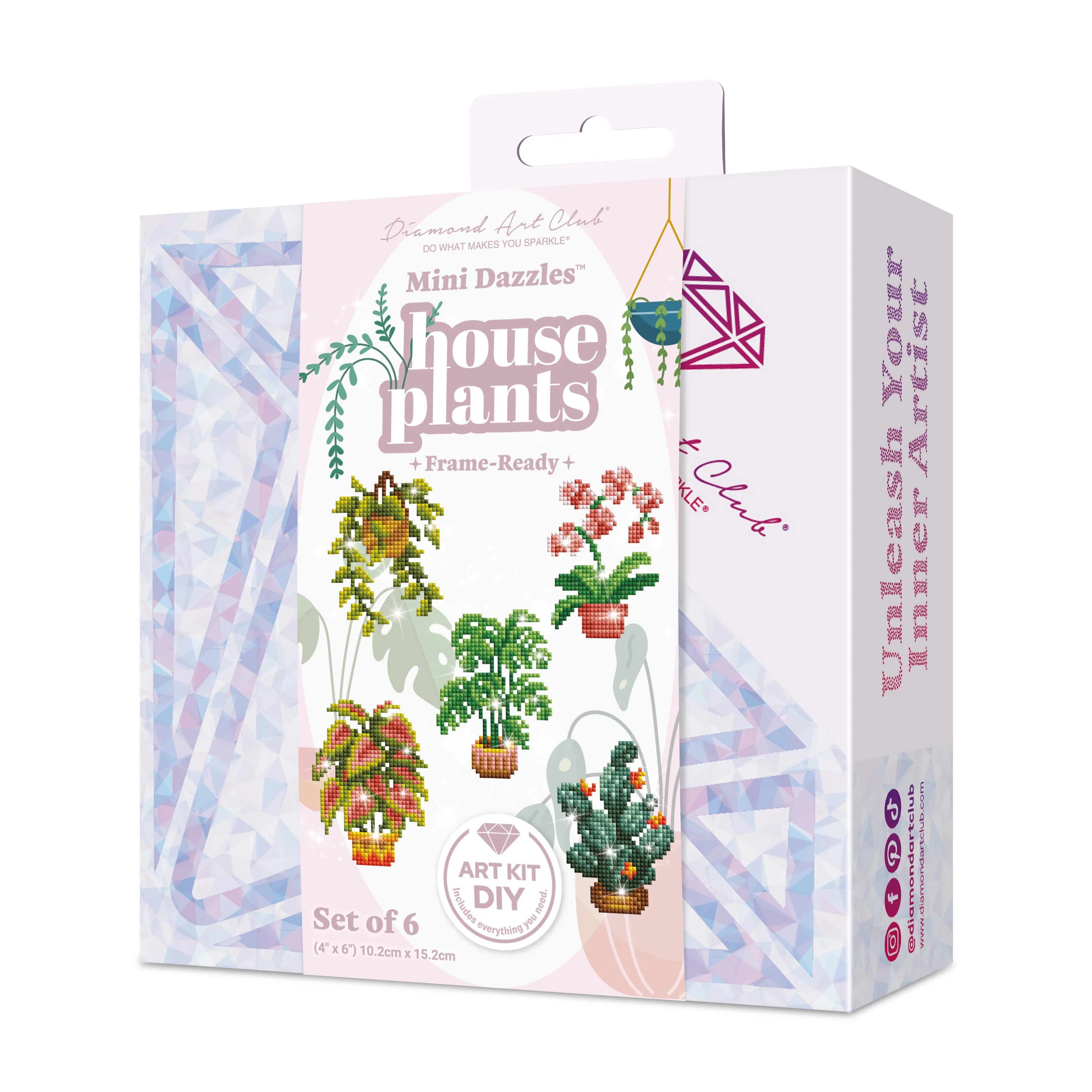 2078-mini-dazzles-house-plants-1.webp