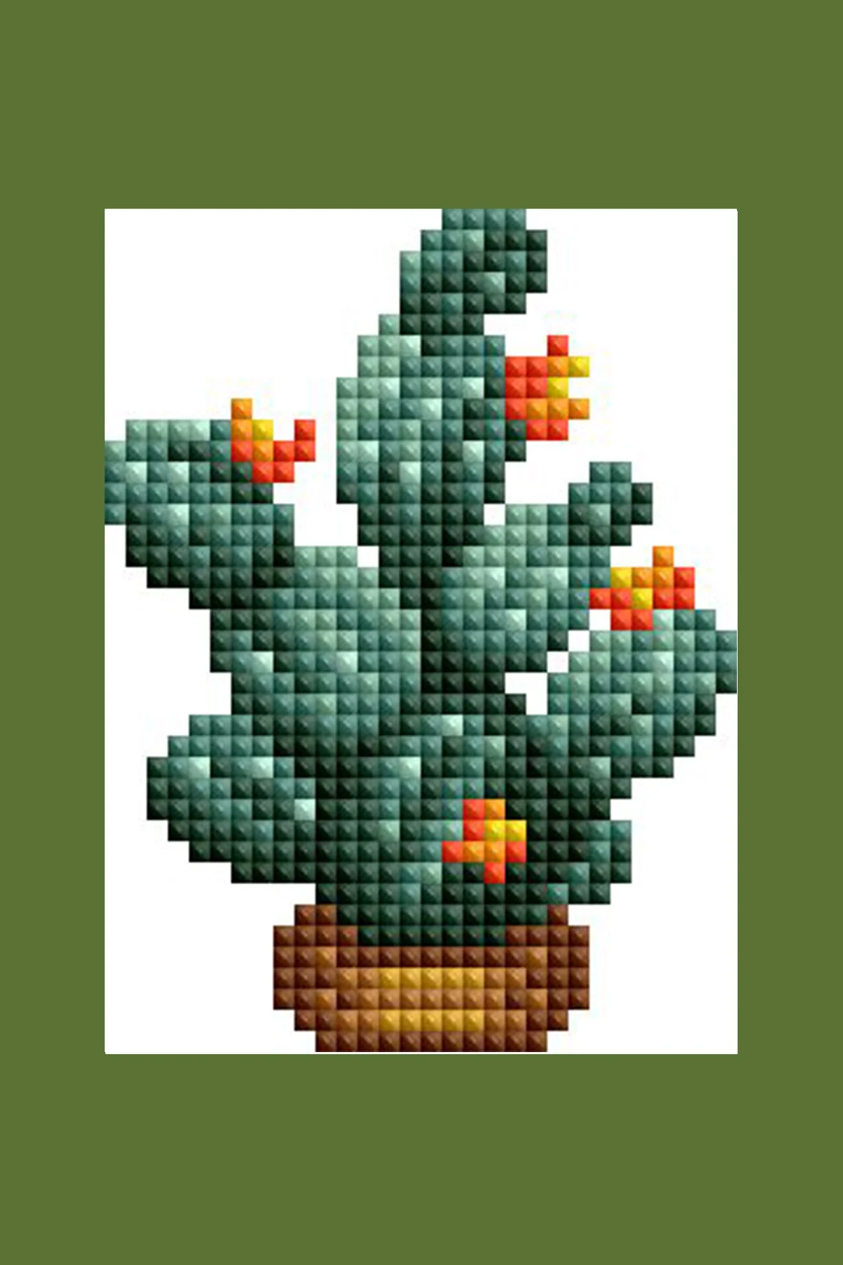 2078-mini-dazzles-house-plants-1.webp