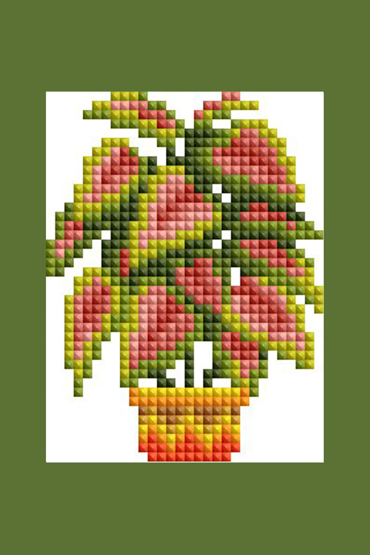 2078-mini-dazzles-house-plants-1.webp